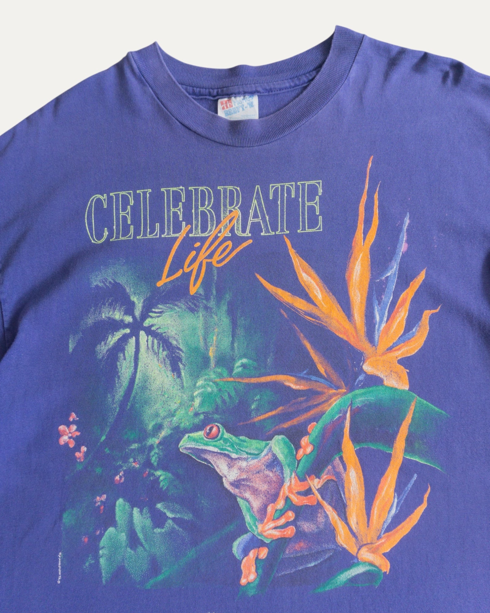 (L/XL) 90’S VINTAGE FROG ART DRAWING TEE