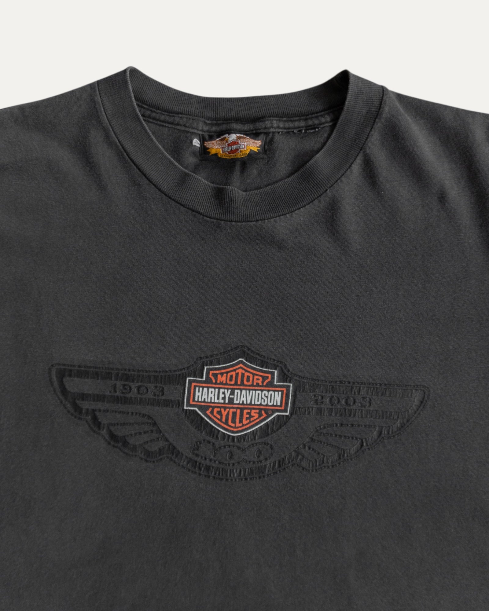 (L) VINTAGE HARLEY DAVIDSON FADED TEE
