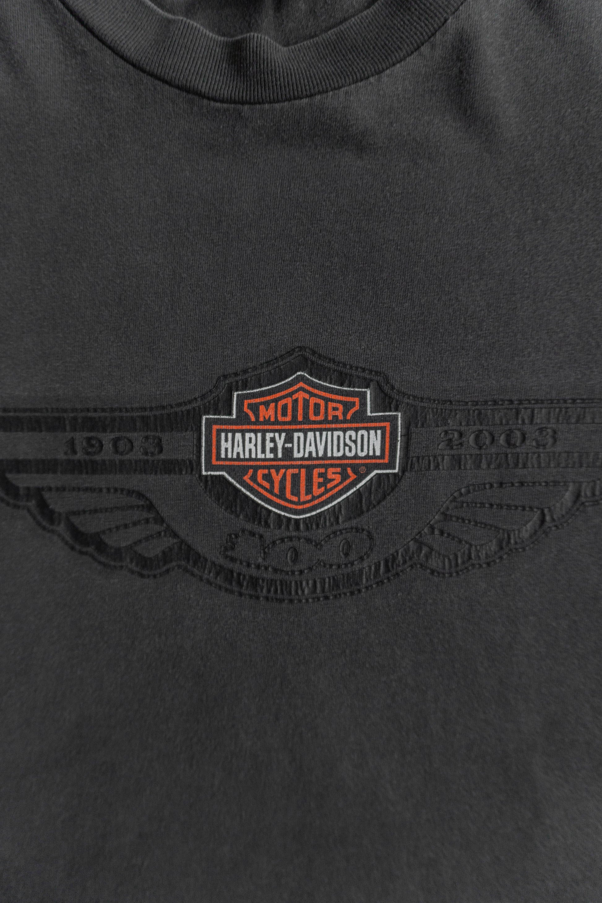 (L) VINTAGE HARLEY DAVIDSON FADED TEE