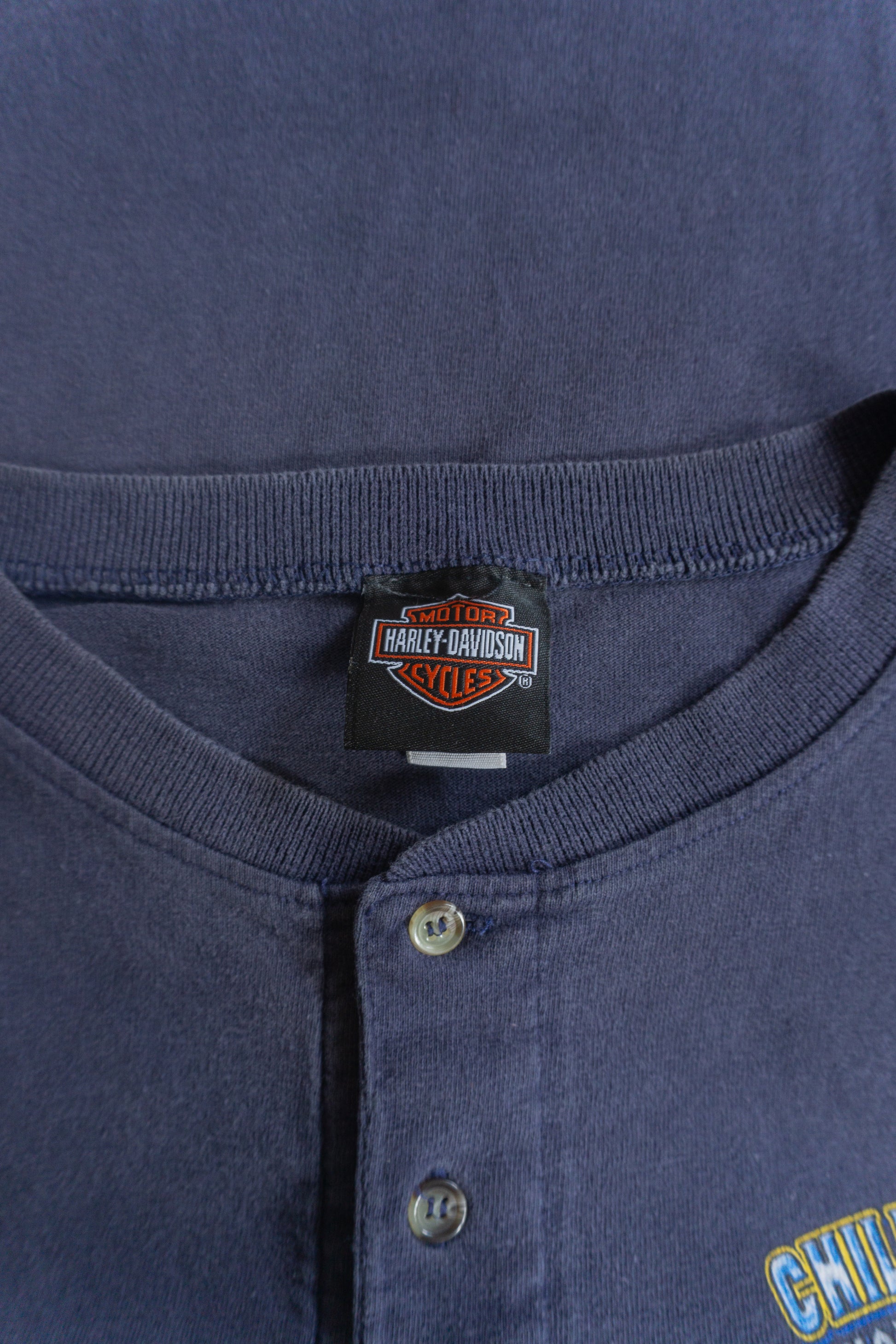 (L) VINTAGE HARLEY DAVIDSON WOLF TEE