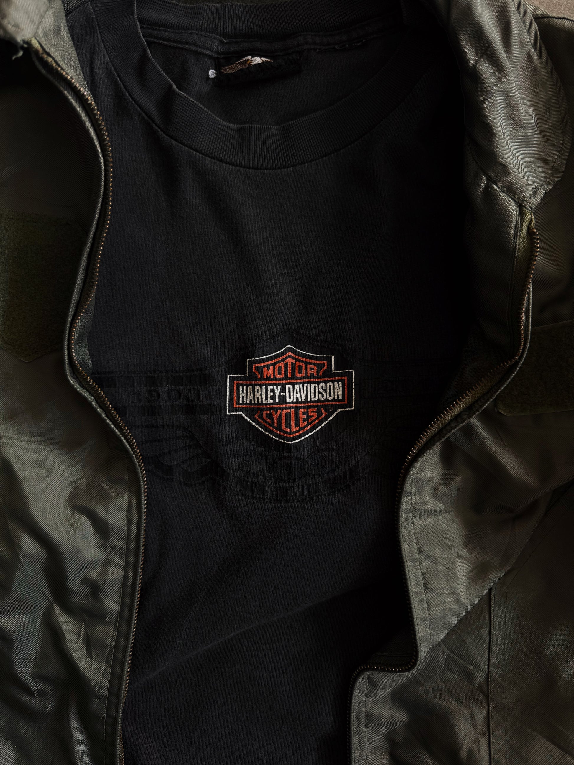 (L) VINTAGE HARLEY DAVIDSON FADED TEE