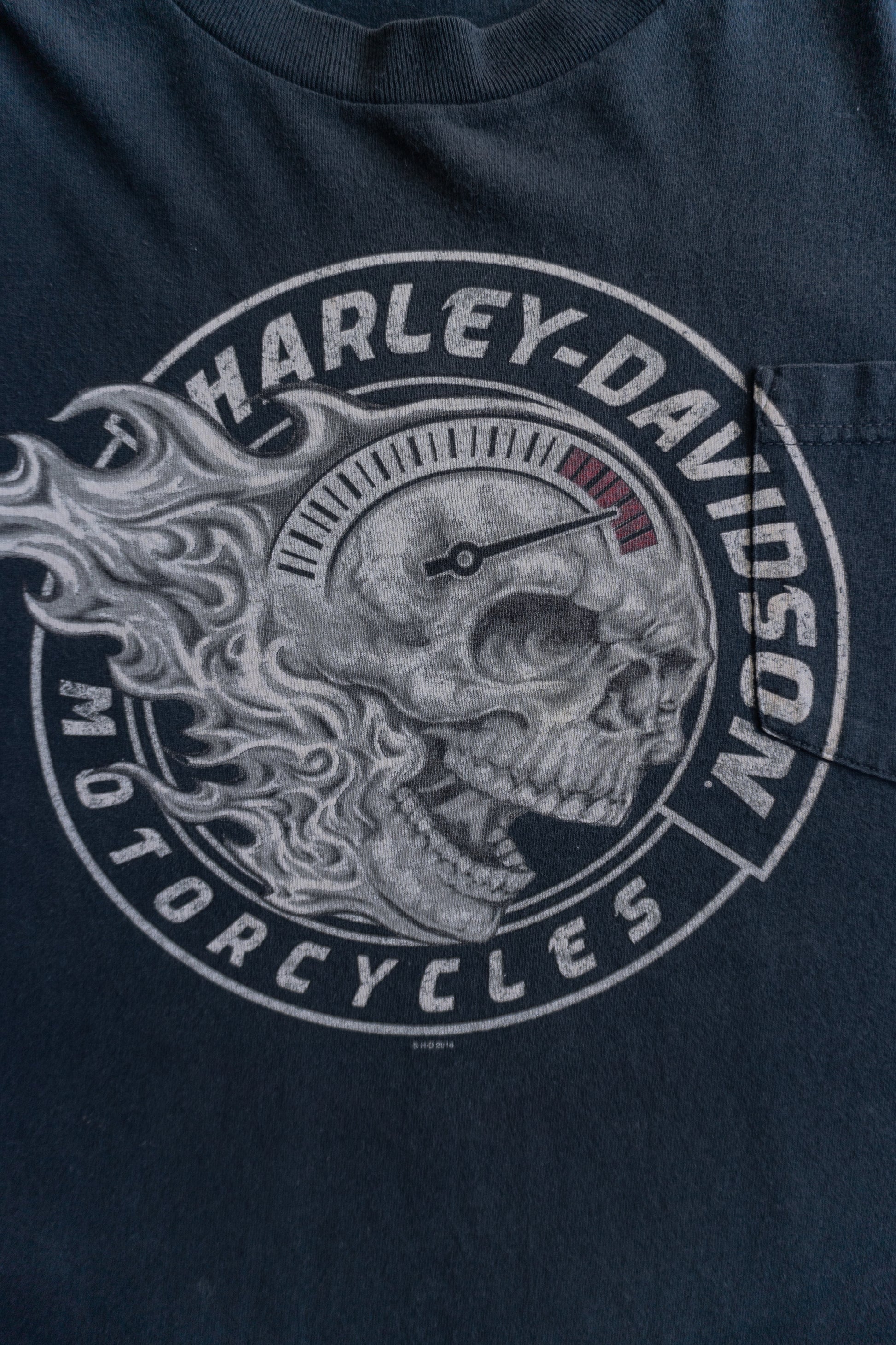 (L) HARLEY DAVIDSON GRAND RAPIDS MICHIGAN SKULL FLAMES TEE