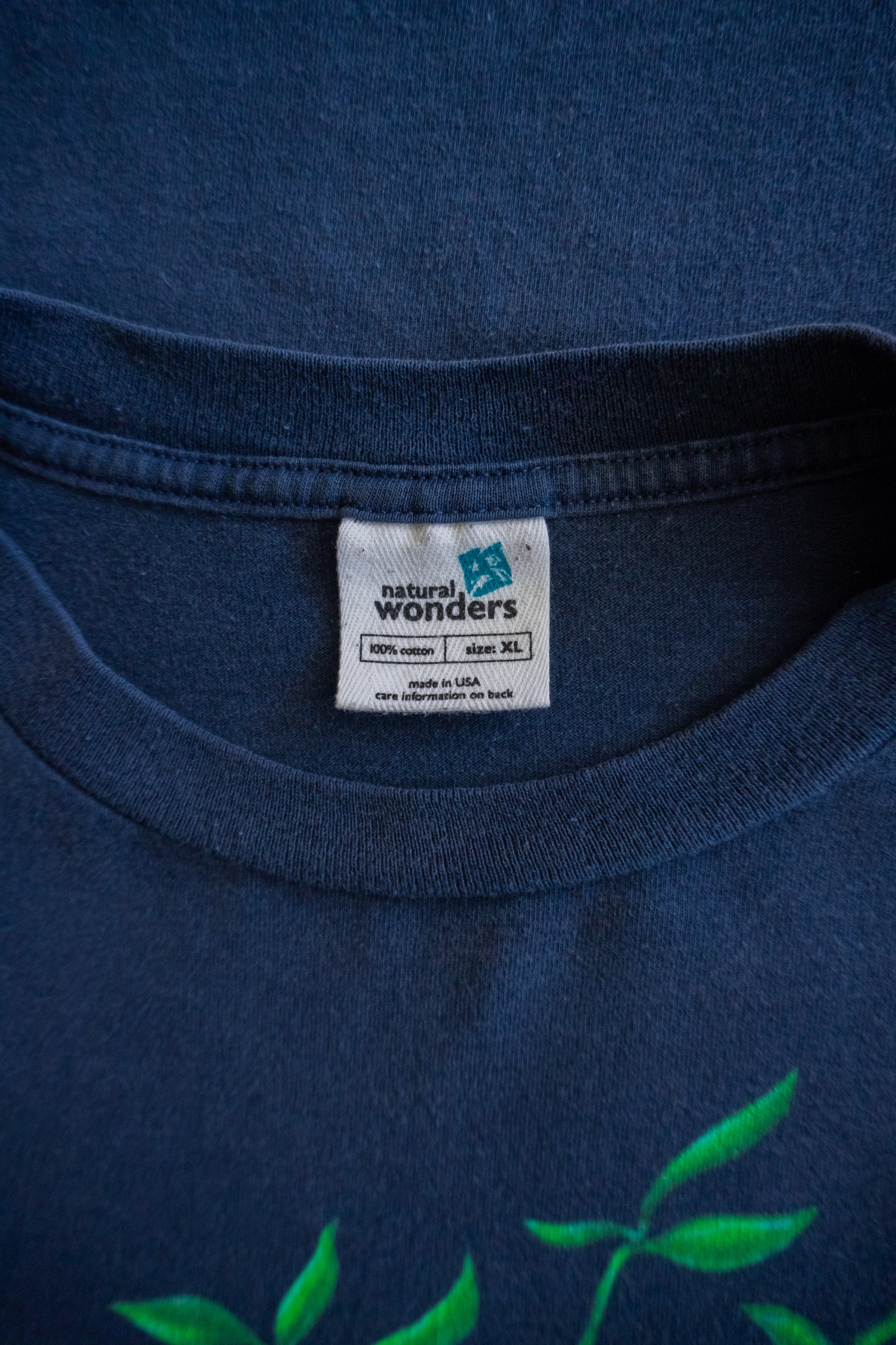 (XL) 90’S VINTAGE NATURAL WONDERS FROGS ART TEE