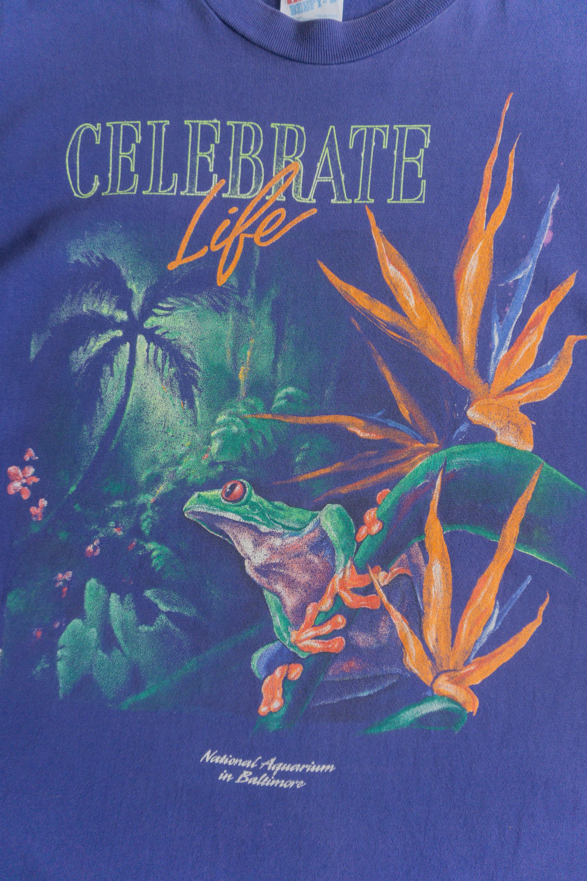 (L/XL) 90’S VINTAGE FROG ART DRAWING TEE