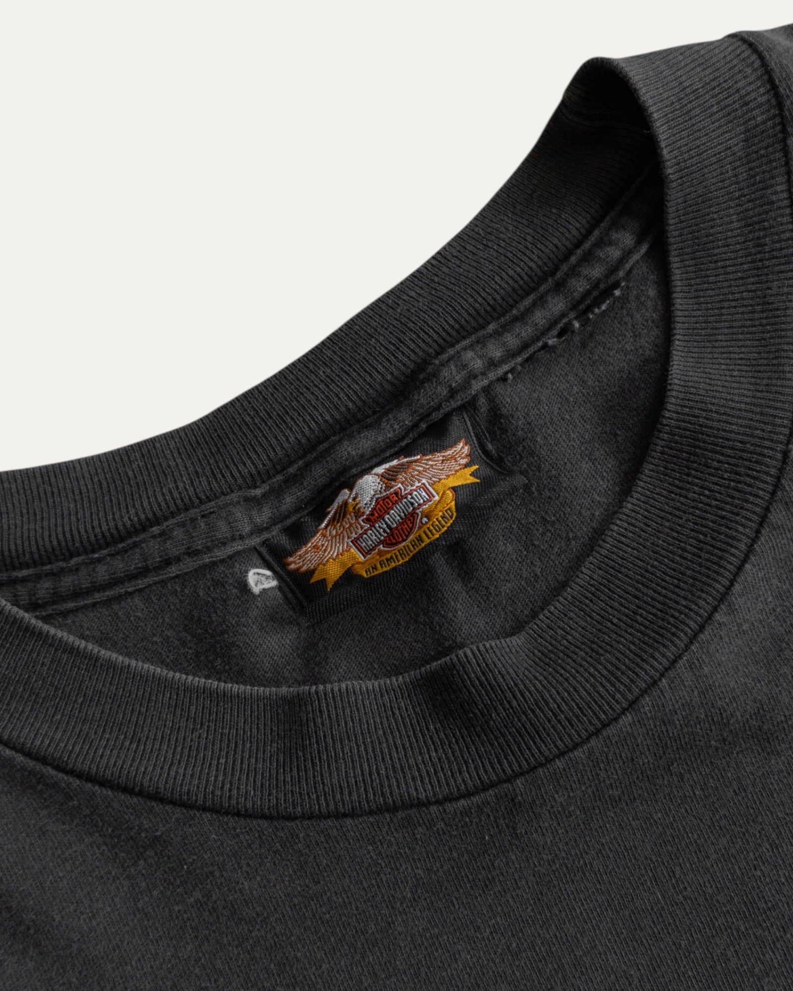 (L) VINTAGE HARLEY DAVIDSON FADED TEE