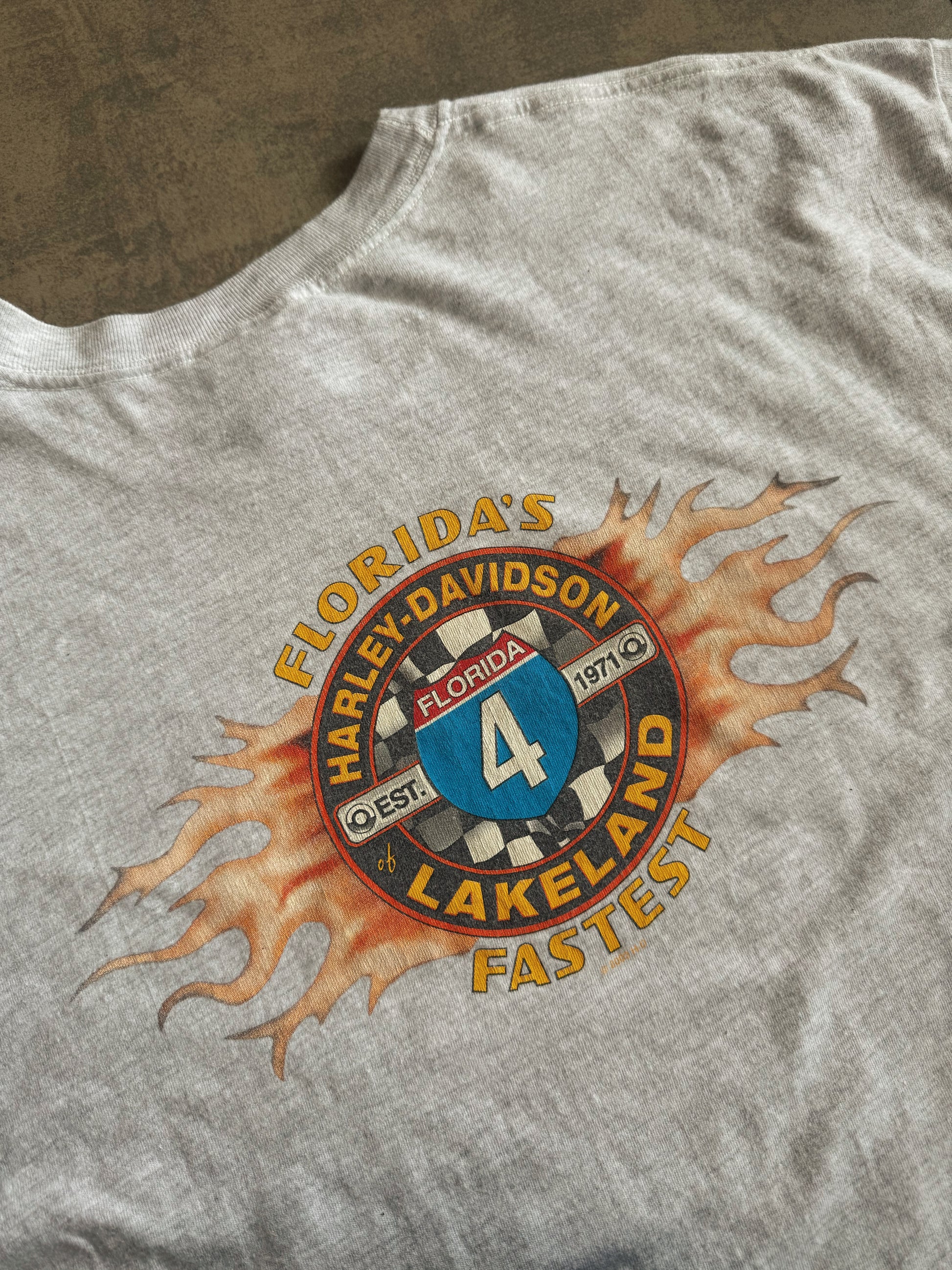 (L) 00’S VINTAGE HARLEY DAVIDSON FLORIDA FLAMES TEE