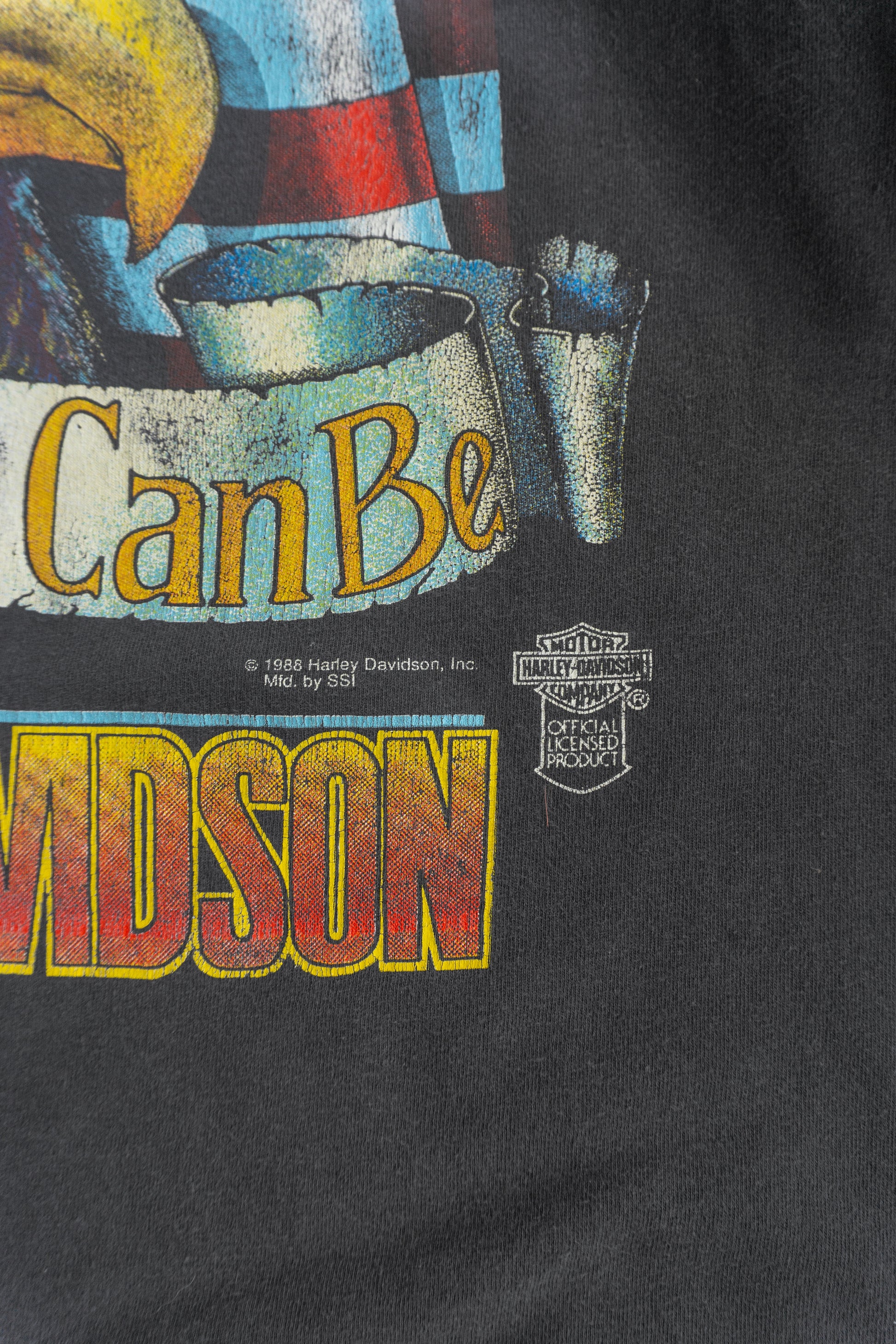 (L) 80’S VINTAGE HARLEY DAVIDSON FREEDOM RIDER TEE
