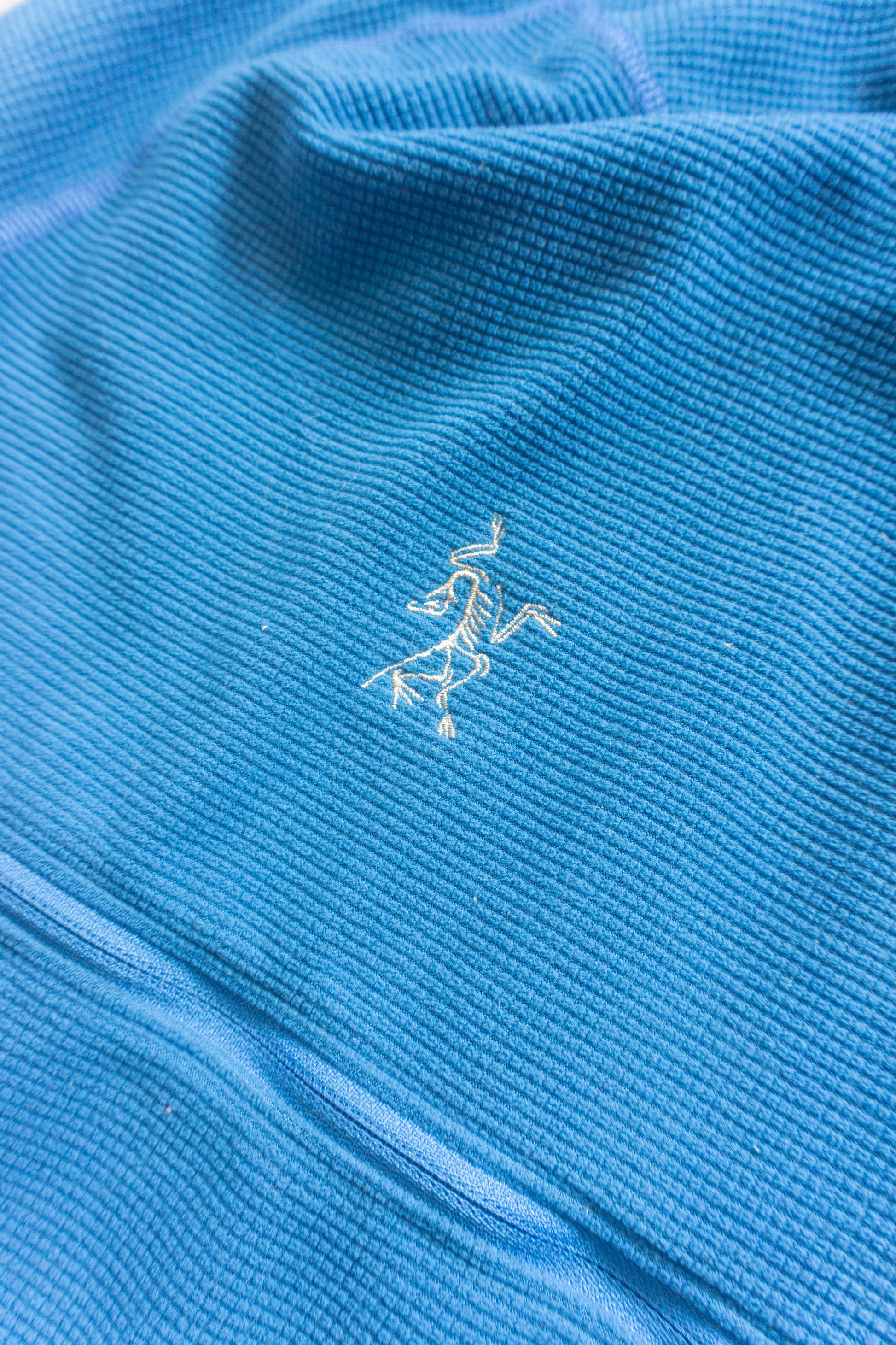 (L) ARC’TERYX JACKET