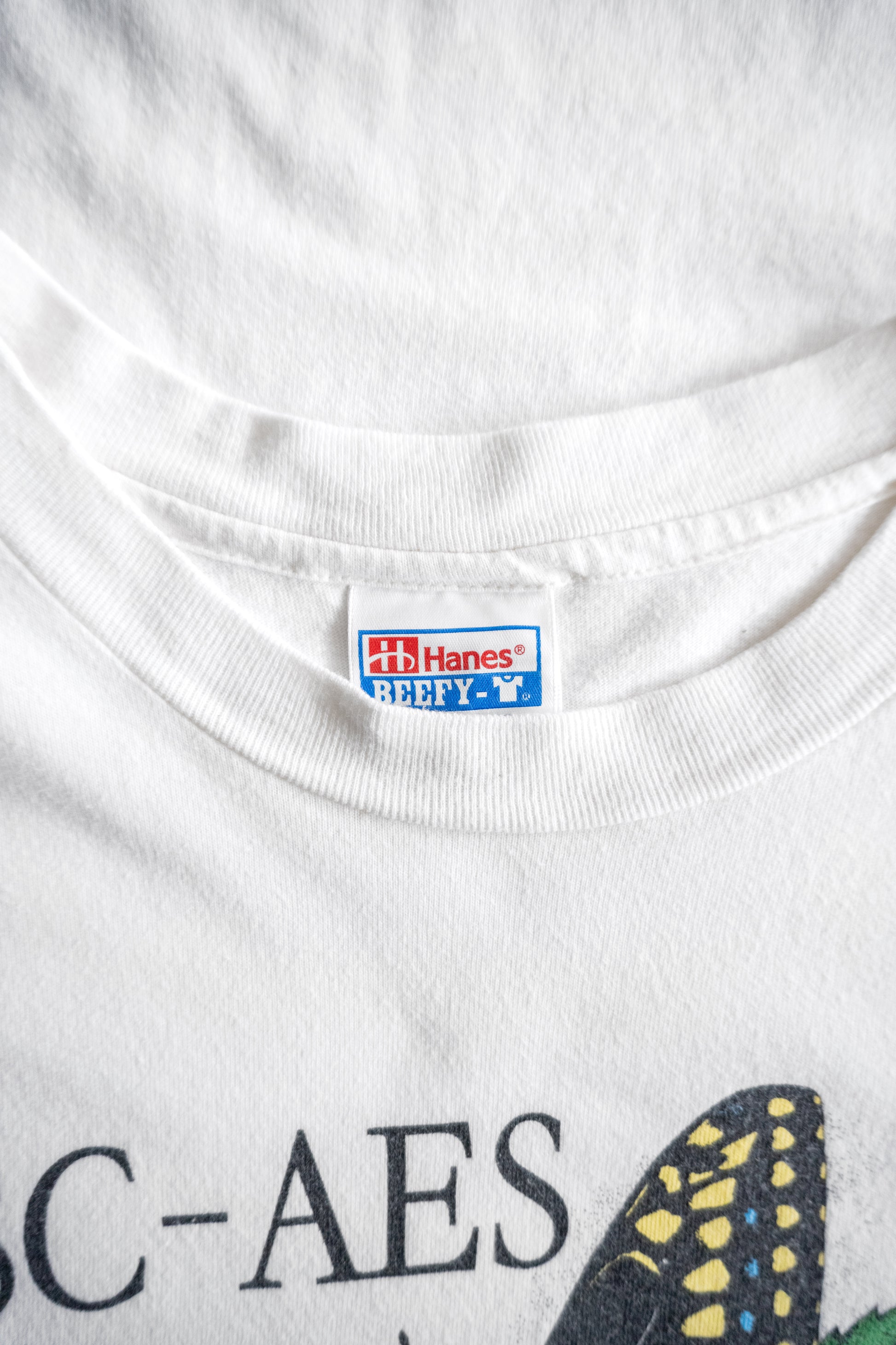 (XL) 90’S VINTAGE BUTTERFLY ART TEE