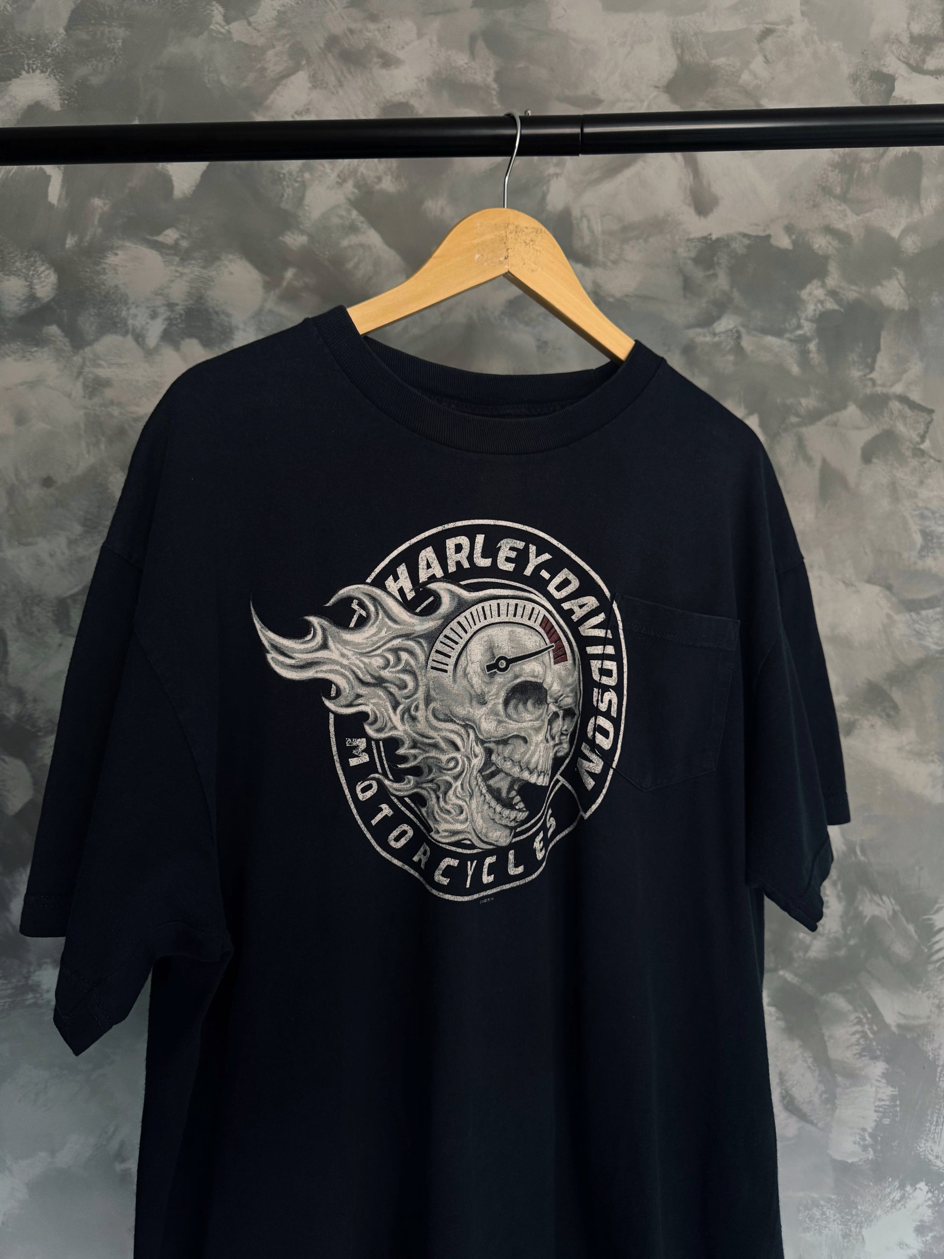 (L) HARLEY DAVIDSON GRAND RAPIDS MICHIGAN SKULL FLAMES TEE