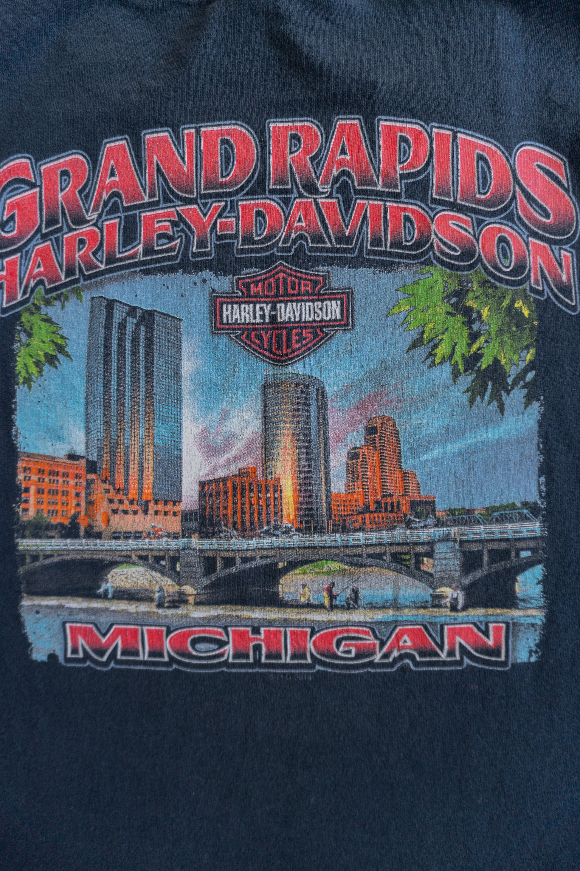 (L) HARLEY DAVIDSON GRAND RAPIDS MICHIGAN SKULL FLAMES TEE