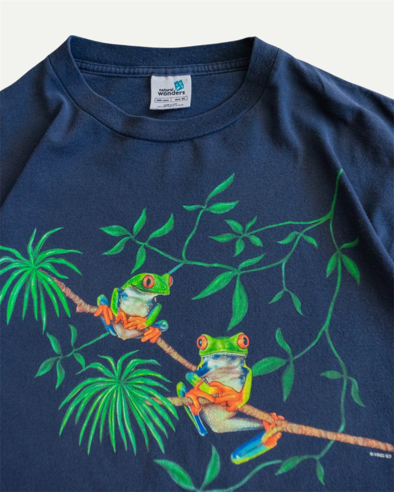 (XL) 90’S VINTAGE NATURAL WONDERS FROGS ART TEE