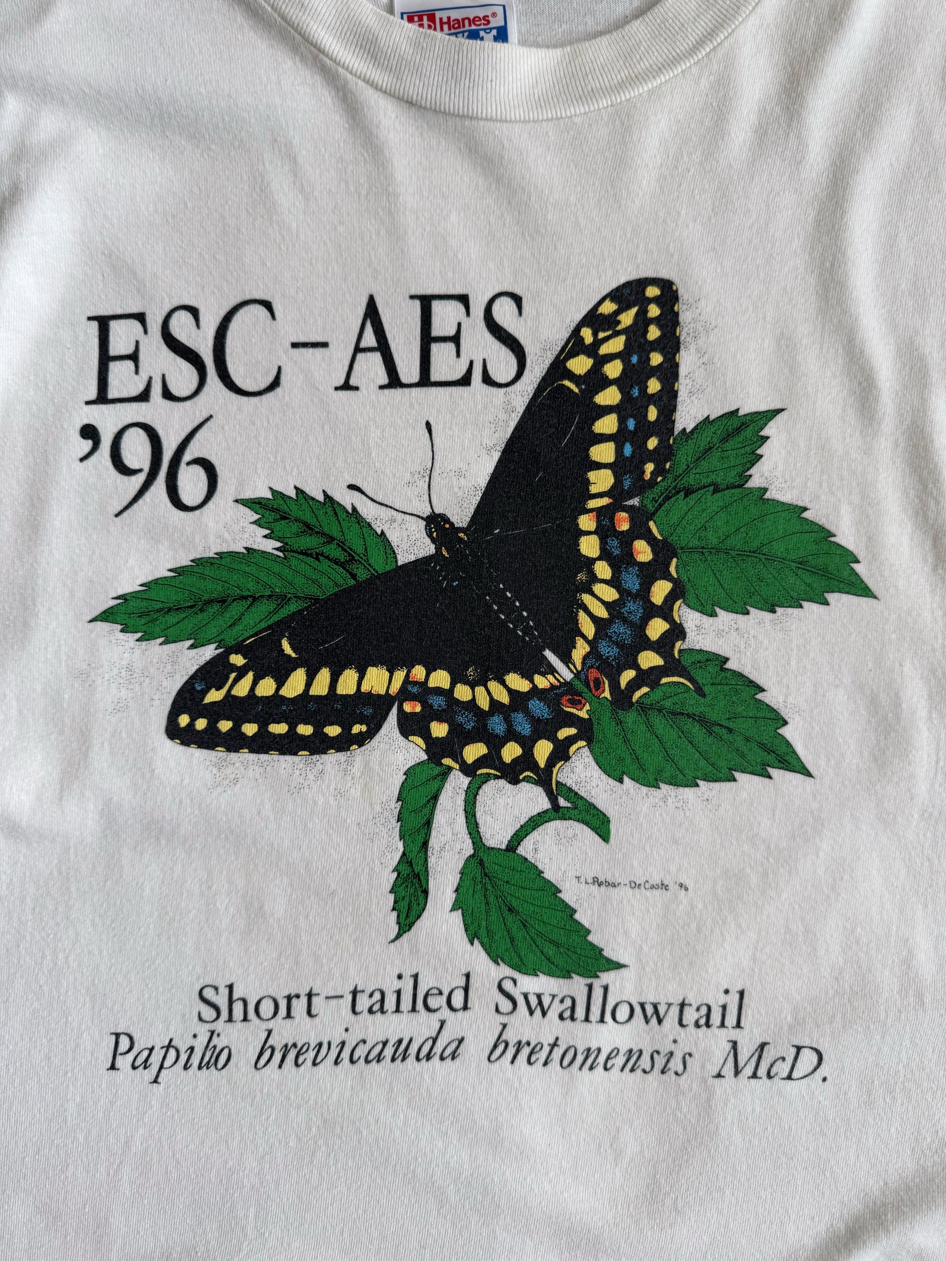 (XL) 90’S VINTAGE BUTTERFLY ART TEE