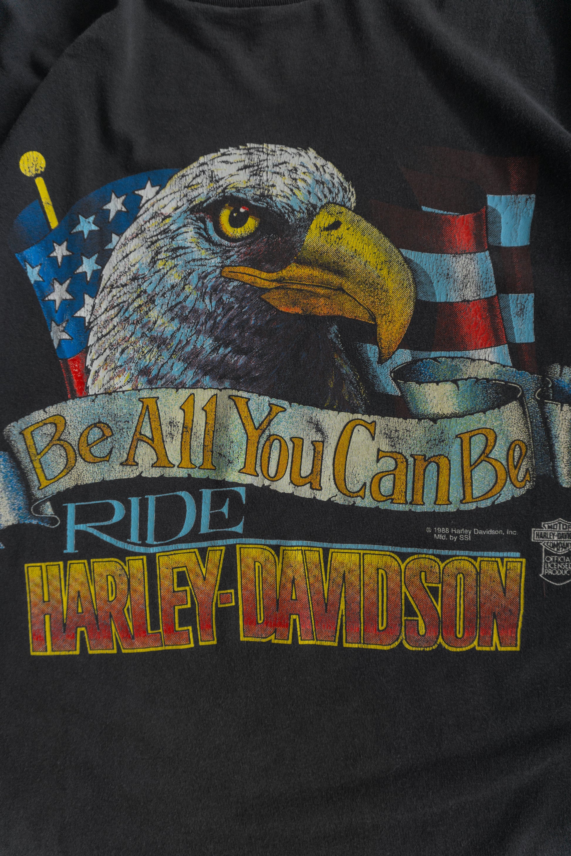 (L) 80’S VINTAGE HARLEY DAVIDSON FREEDOM RIDER TEE
