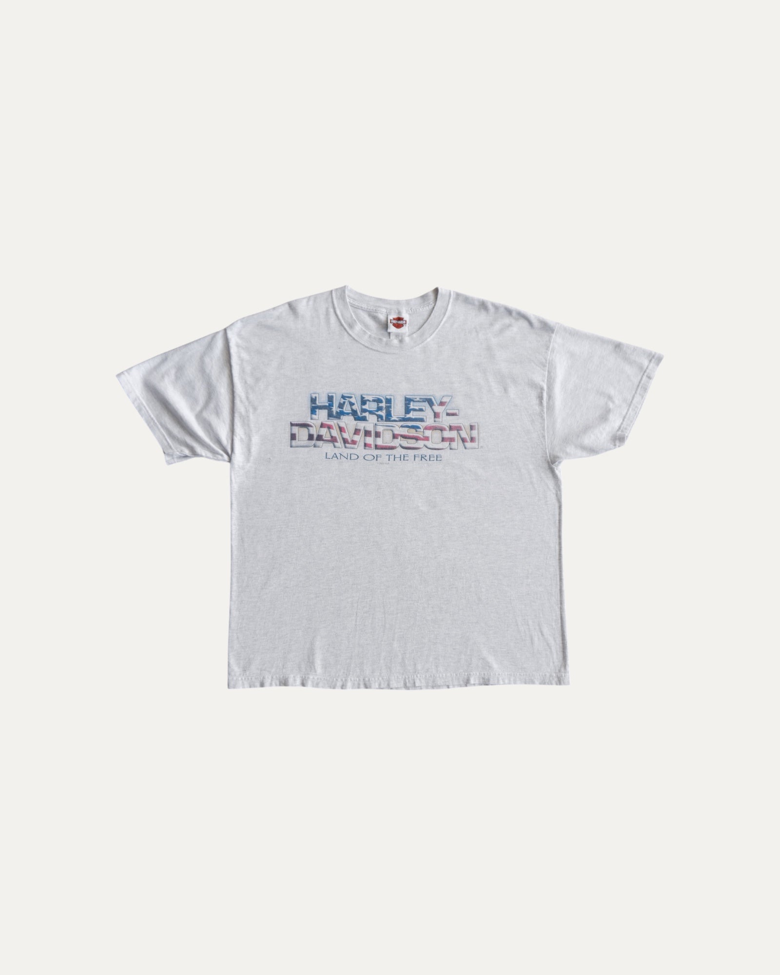 (L) 00’S VINTAGE HARLEY DAVIDSON FLORIDA FLAMES TEE