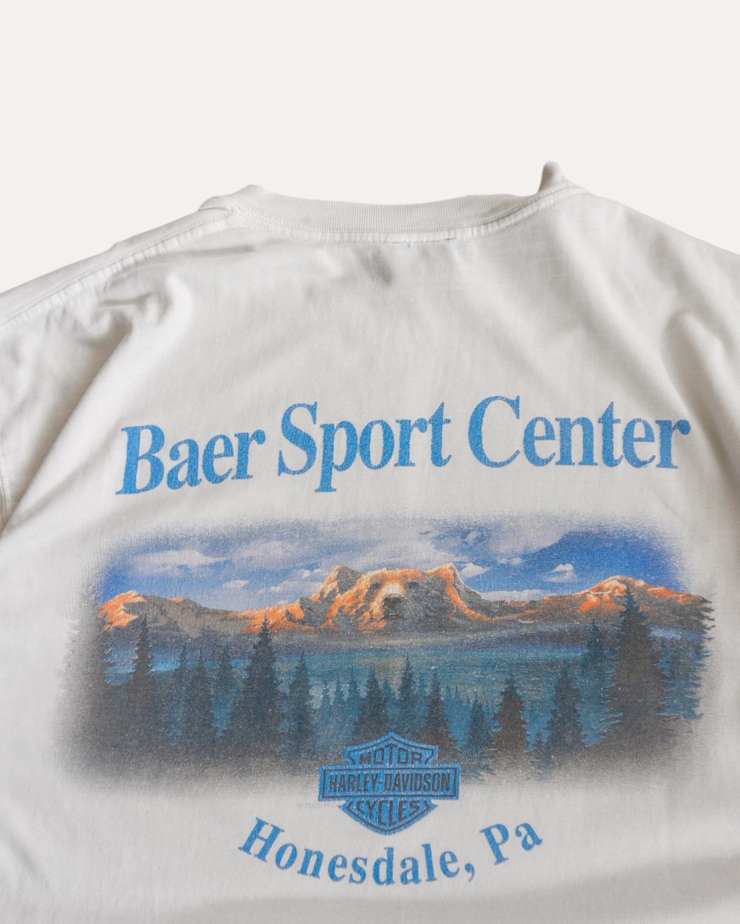(L) VINTAGE HARLEY DAVIDSON WOLF TEE