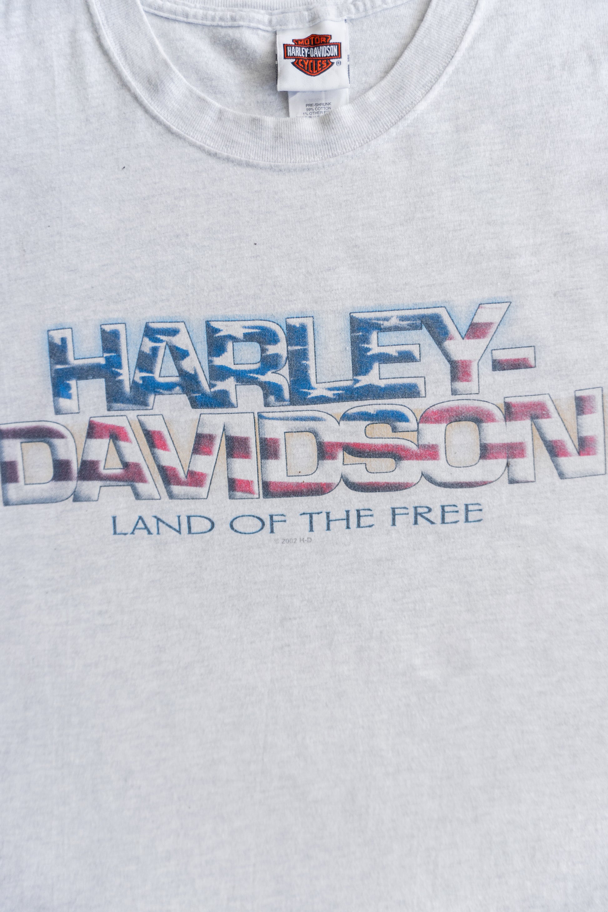 (L) 00’S VINTAGE HARLEY DAVIDSON FLORIDA FLAMES TEE