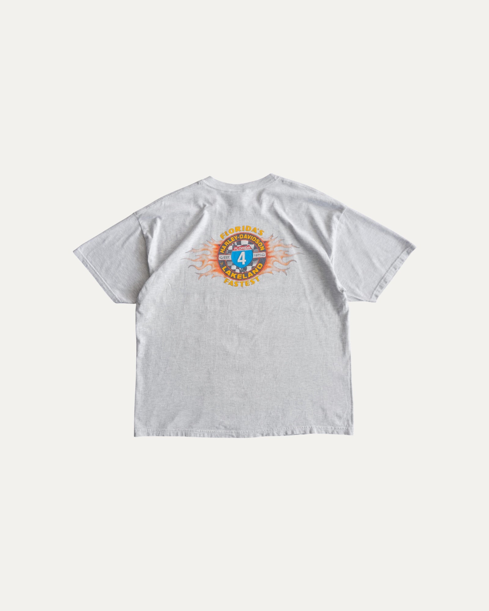 (L) 00’S VINTAGE HARLEY DAVIDSON FLORIDA FLAMES TEE