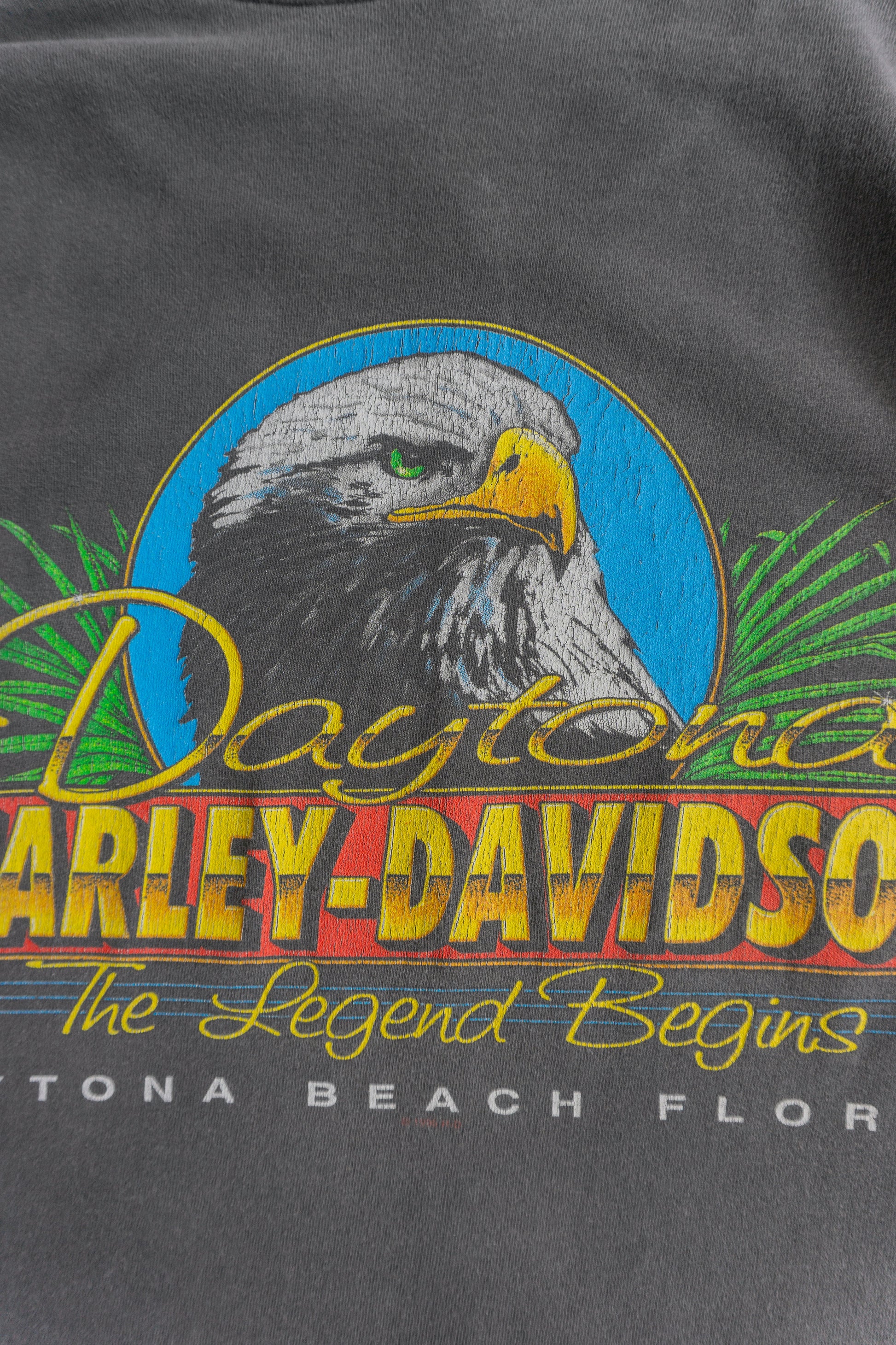 (M) 90’S VINTAGE HAGLEY DAVIDSON DAYTONA FADED TEE