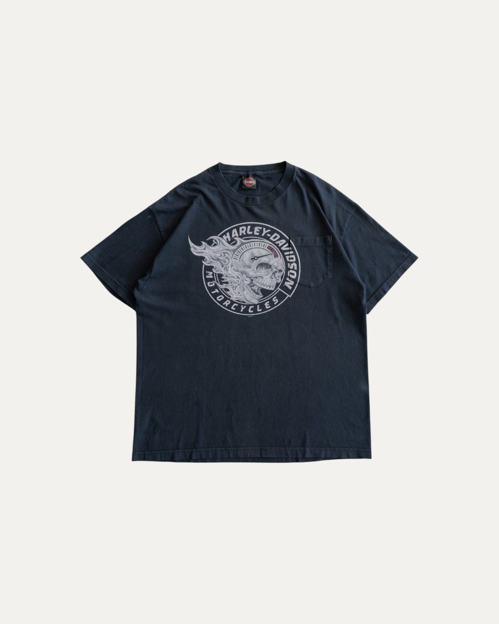 (L) HARLEY DAVIDSON GRAND RAPIDS MICHIGAN SKULL FLAMES TEE