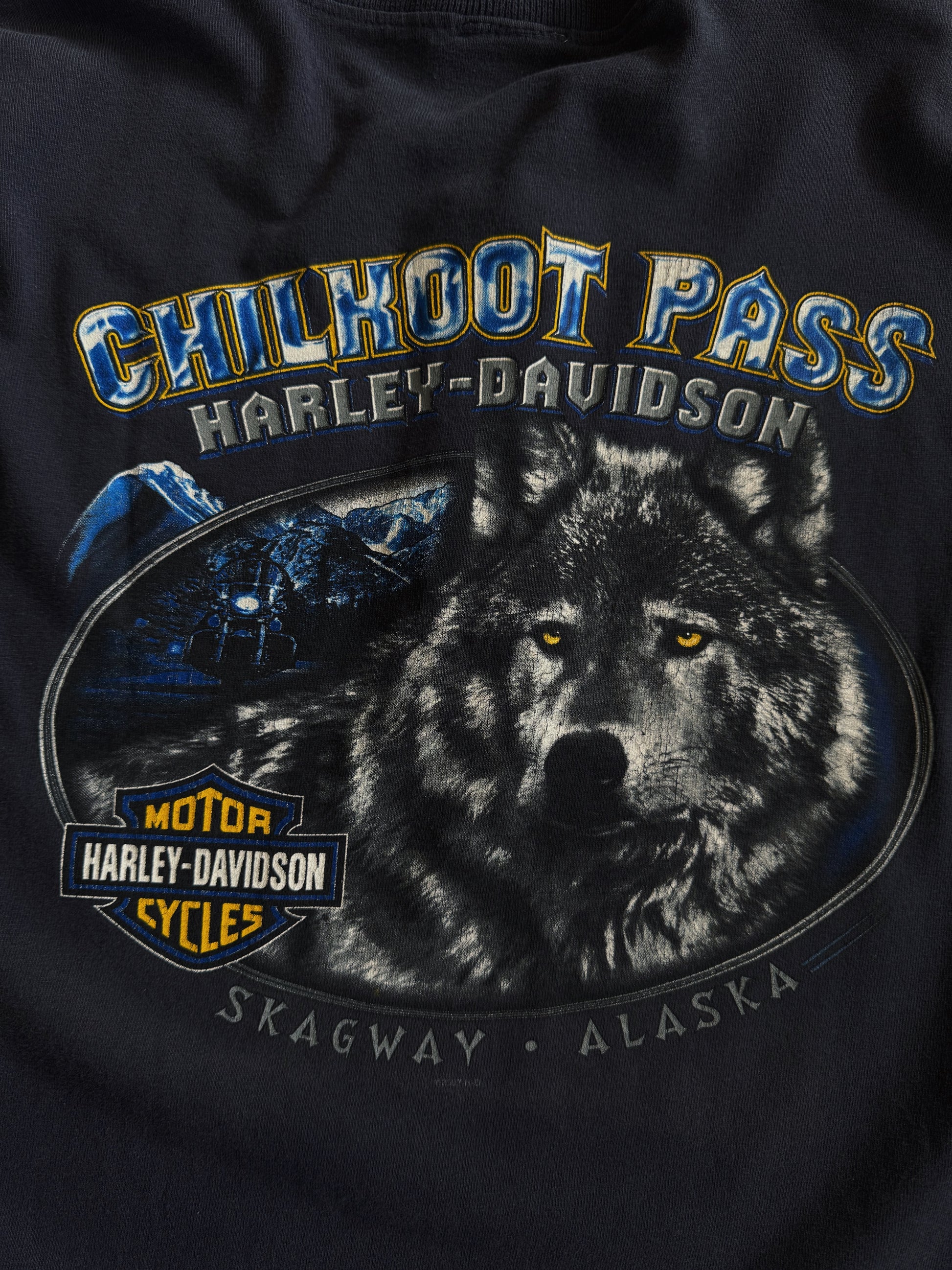 (L) VINTAGE HARLEY DAVIDSON WOLF TEE