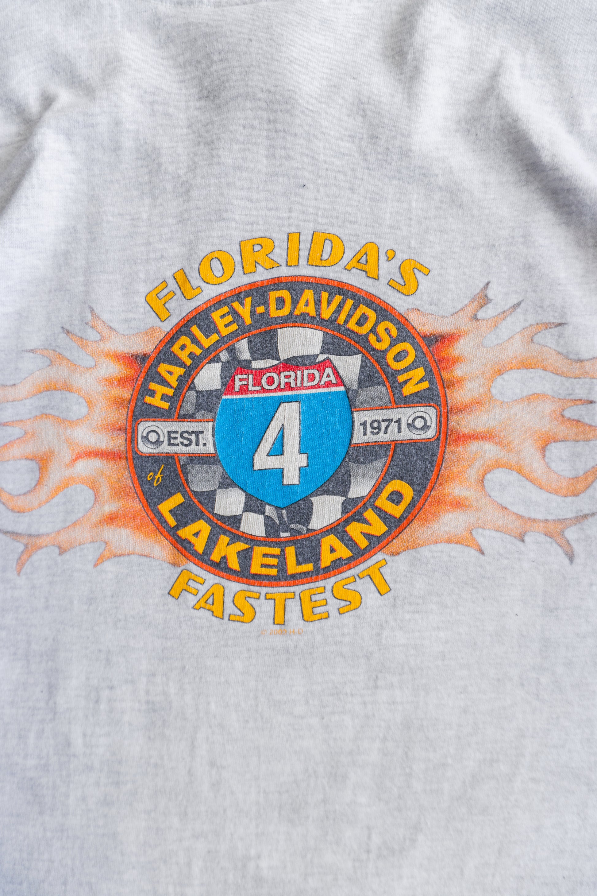 (L) 00’S VINTAGE HARLEY DAVIDSON FLORIDA FLAMES TEE