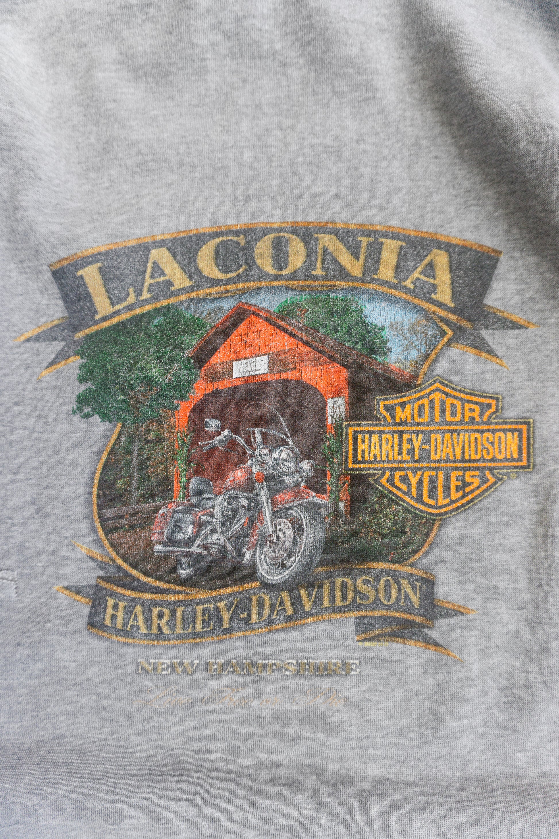 (XL) HARLEY DAVIDSON HOODIE