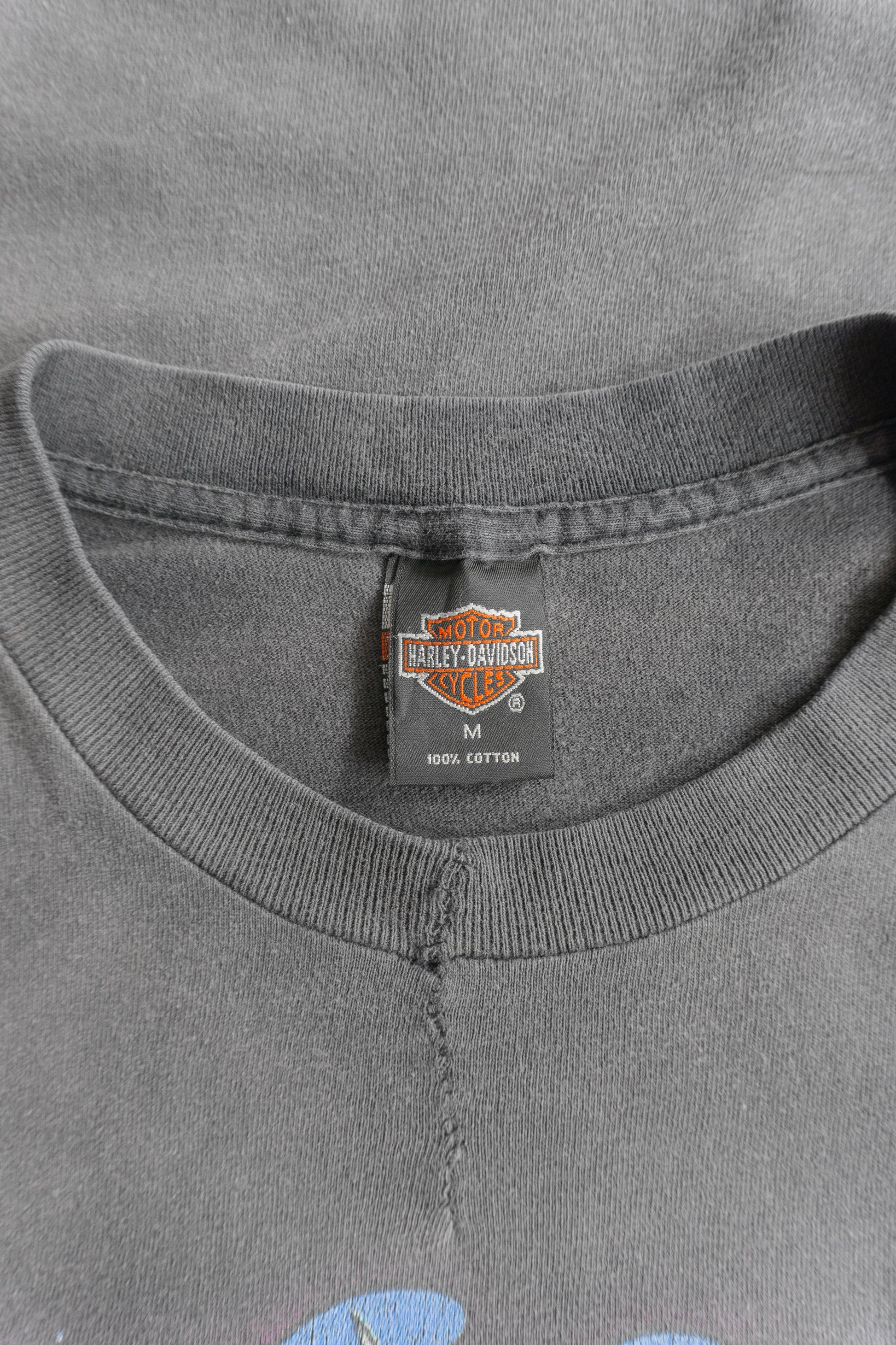 (M) 90’S VINTAGE HAGLEY DAVIDSON DAYTONA FADED TEE