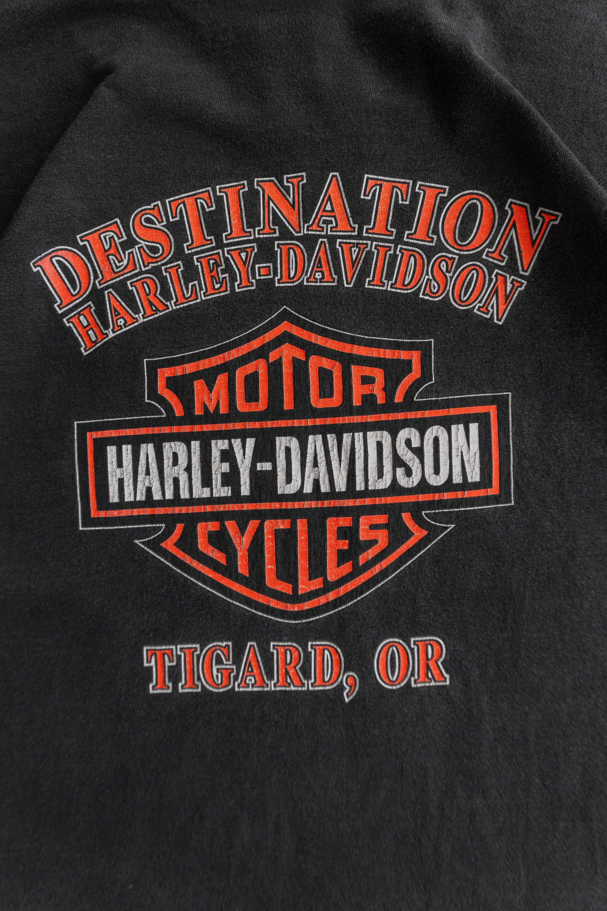 (FIT L) HARLEY DAVIDSON SUN FADED EAGLE TEE