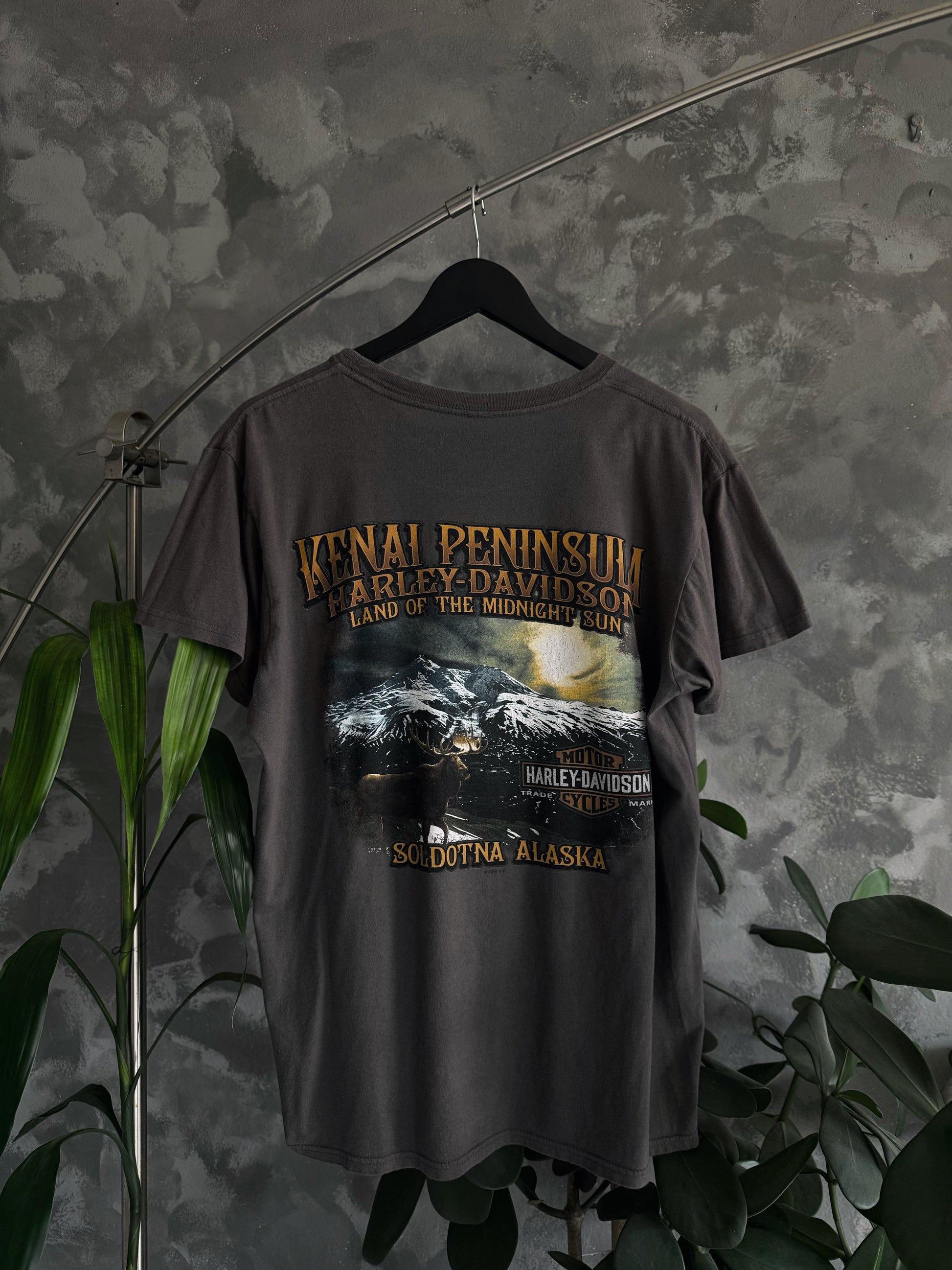 (M) HARLEY DAVIDSON KENAL PENÍNSULA TEE