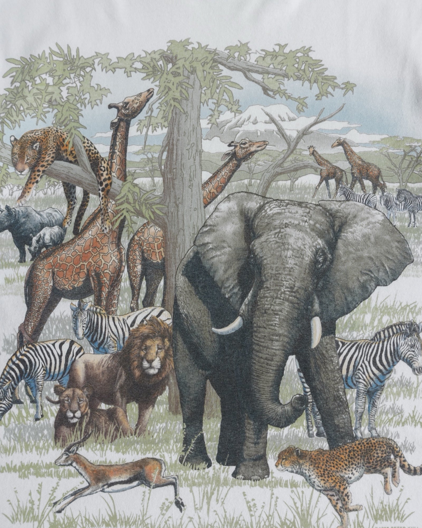 (M) 90’S VINTAGE JUNGLE ANIMAL ART TEE
