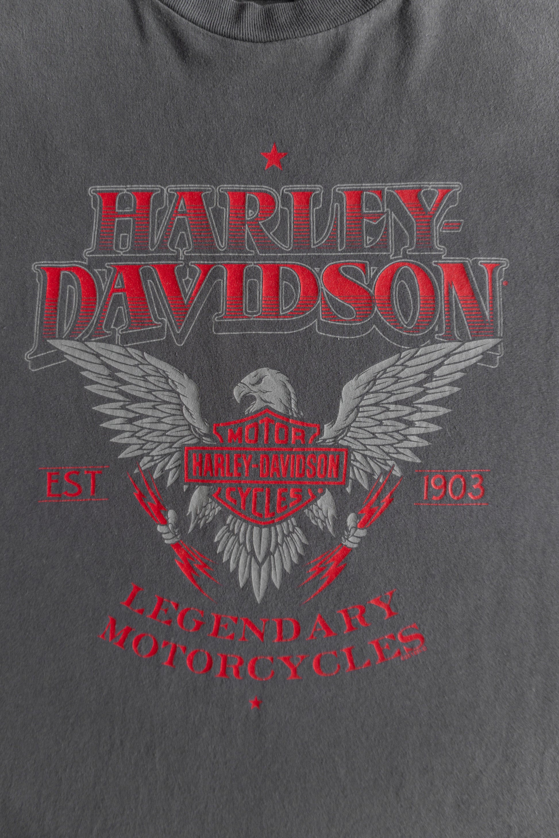 (M) VINTAGE HARLEY DAVIDSON TEE