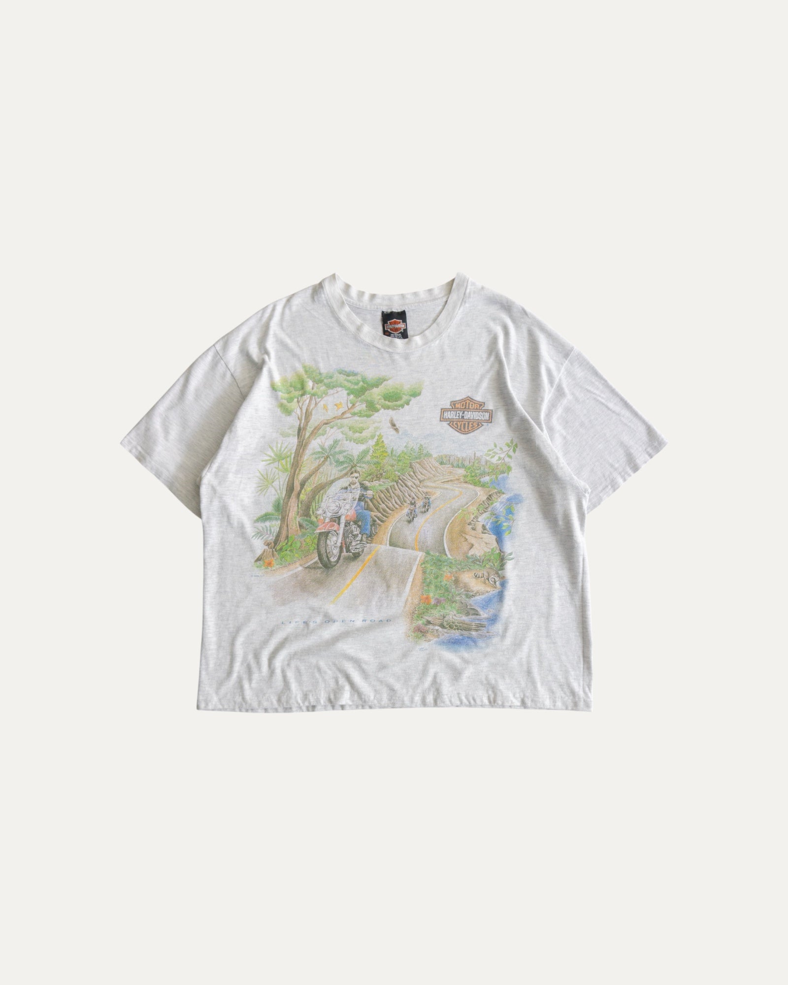 (BOXY L/XL) 1996 VINTAGE HARLEY DAVIDSON NATURE ART TEE