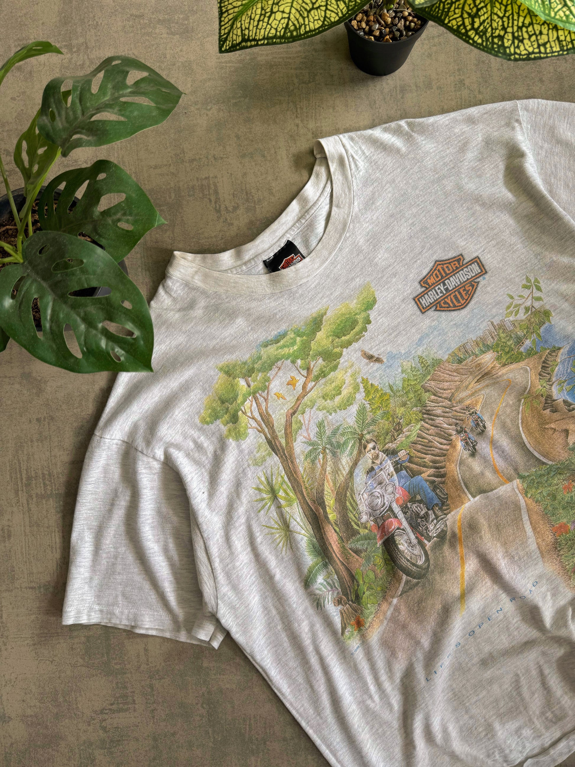 (BOXY L/XL) 1996 VINTAGE HARLEY DAVIDSON NATURE ART TEE