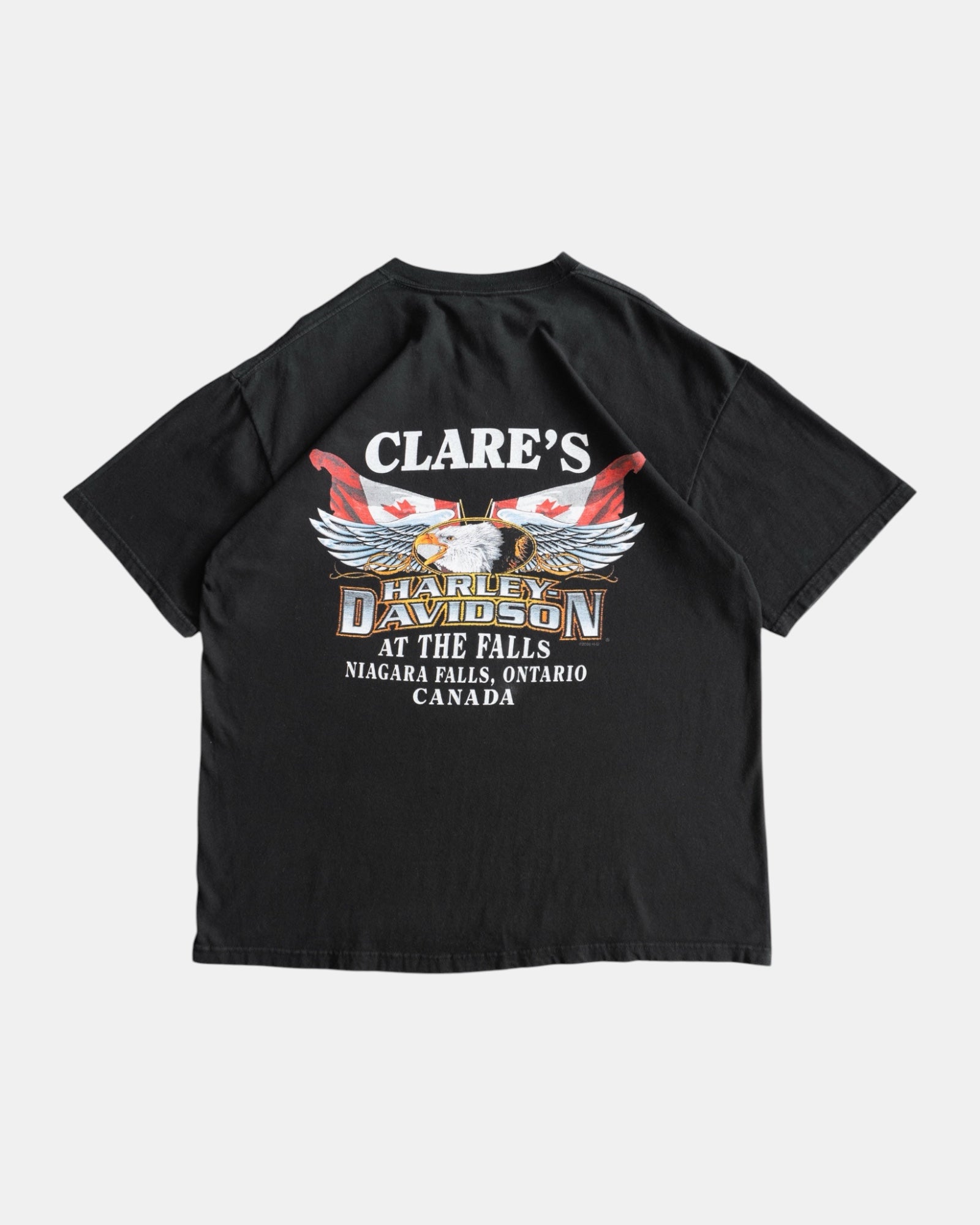 (L/XL) HARLEY DAVIDSON “I LIKE IT HAWGY STYLE” TEE