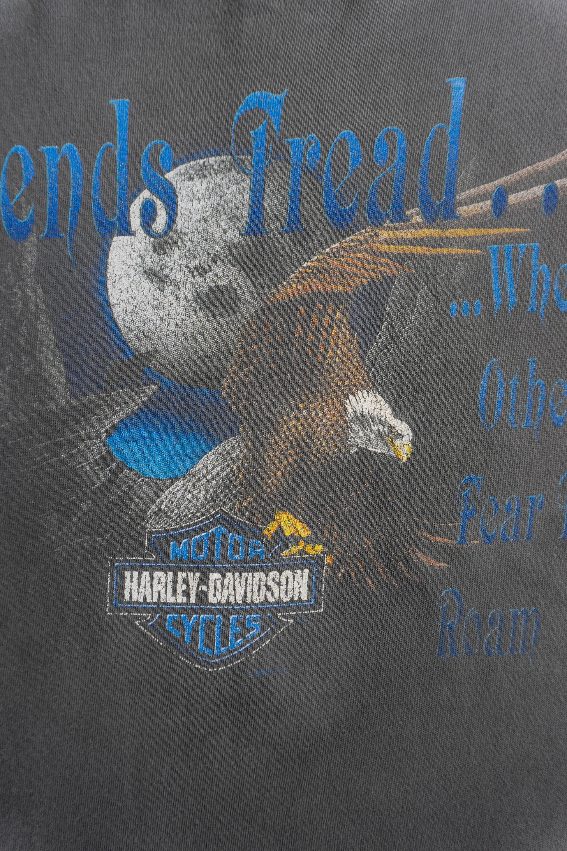 (XL) 00’S VINTAGE HARLEY DAVIDSON FADED TEE