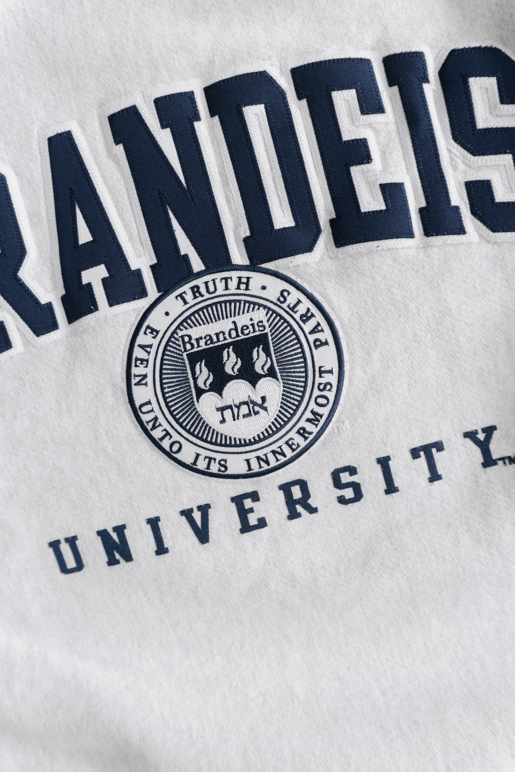 (M) CHAMPION BRANDEIS UNIVERSITY CREWNECK