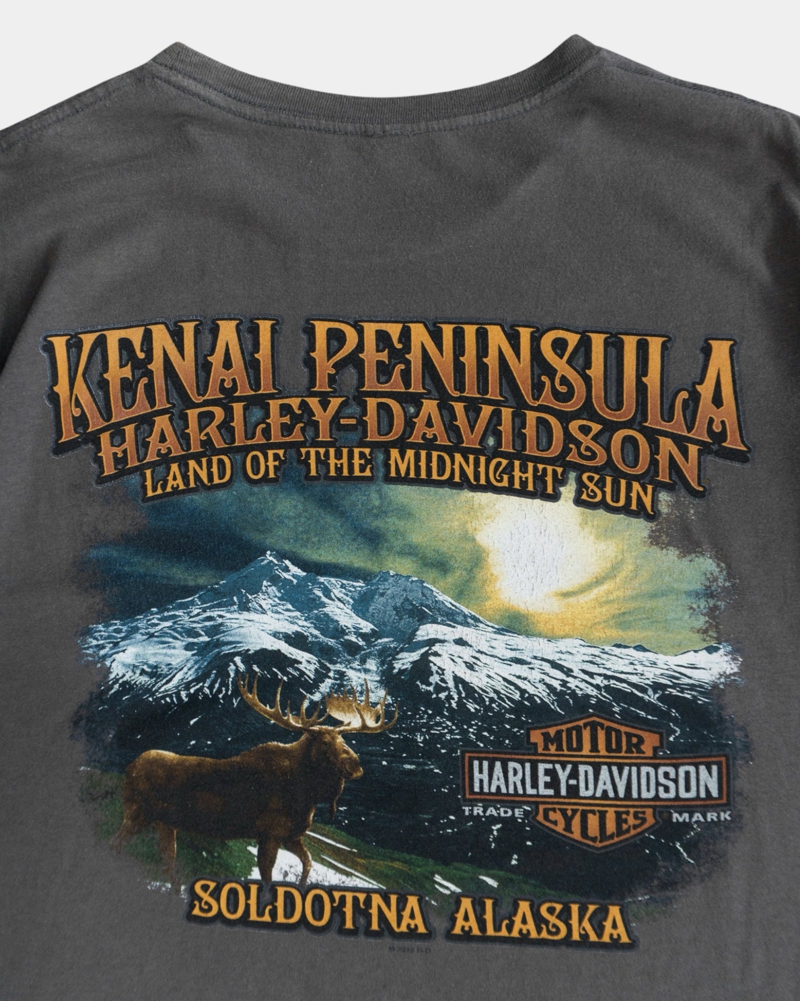 (M) HARLEY DAVIDSON KENAL PENÍNSULA TEE