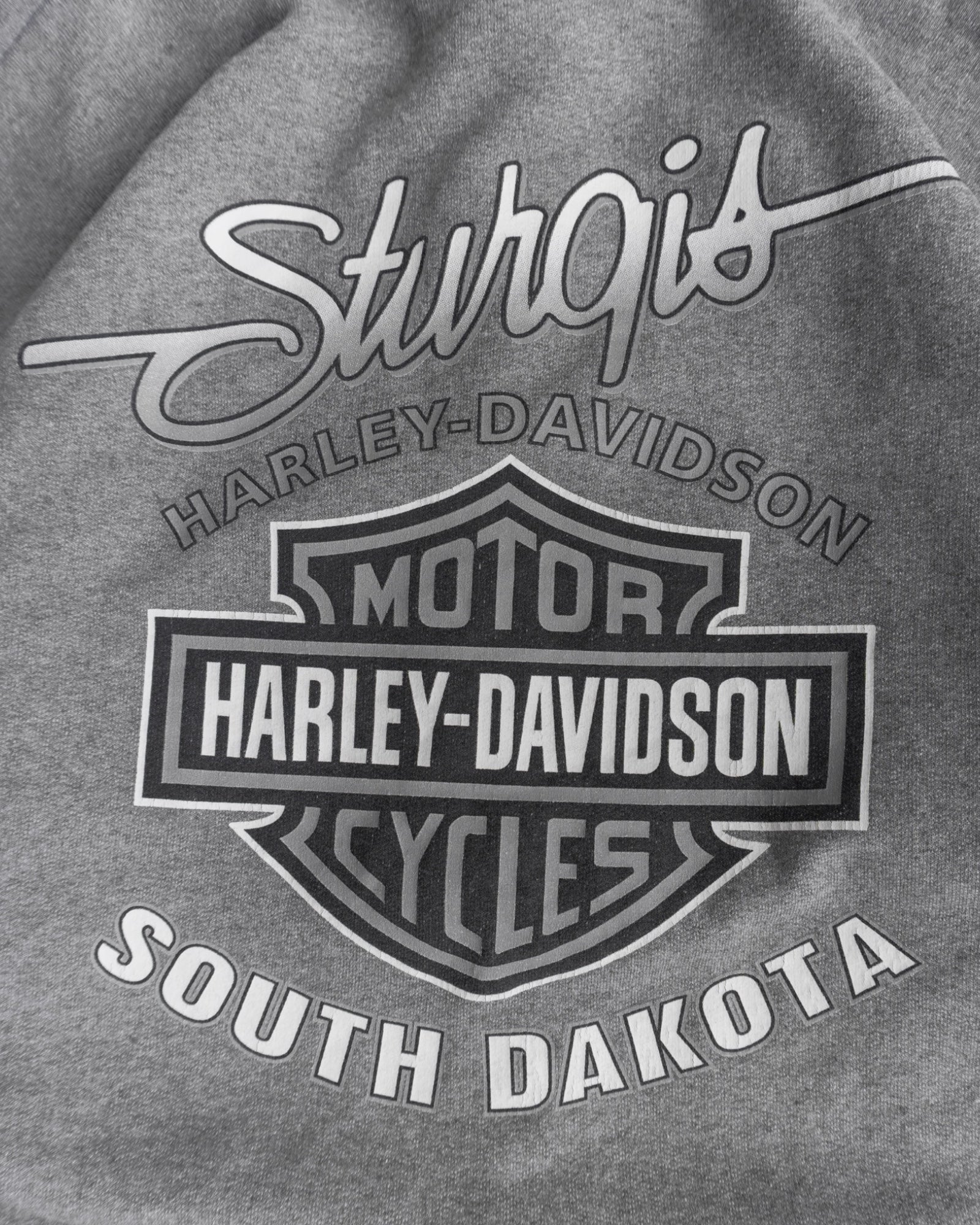 (L) HARLEY DAVIDSON STURGUIS FLAMES HOODIE FULL ZIP