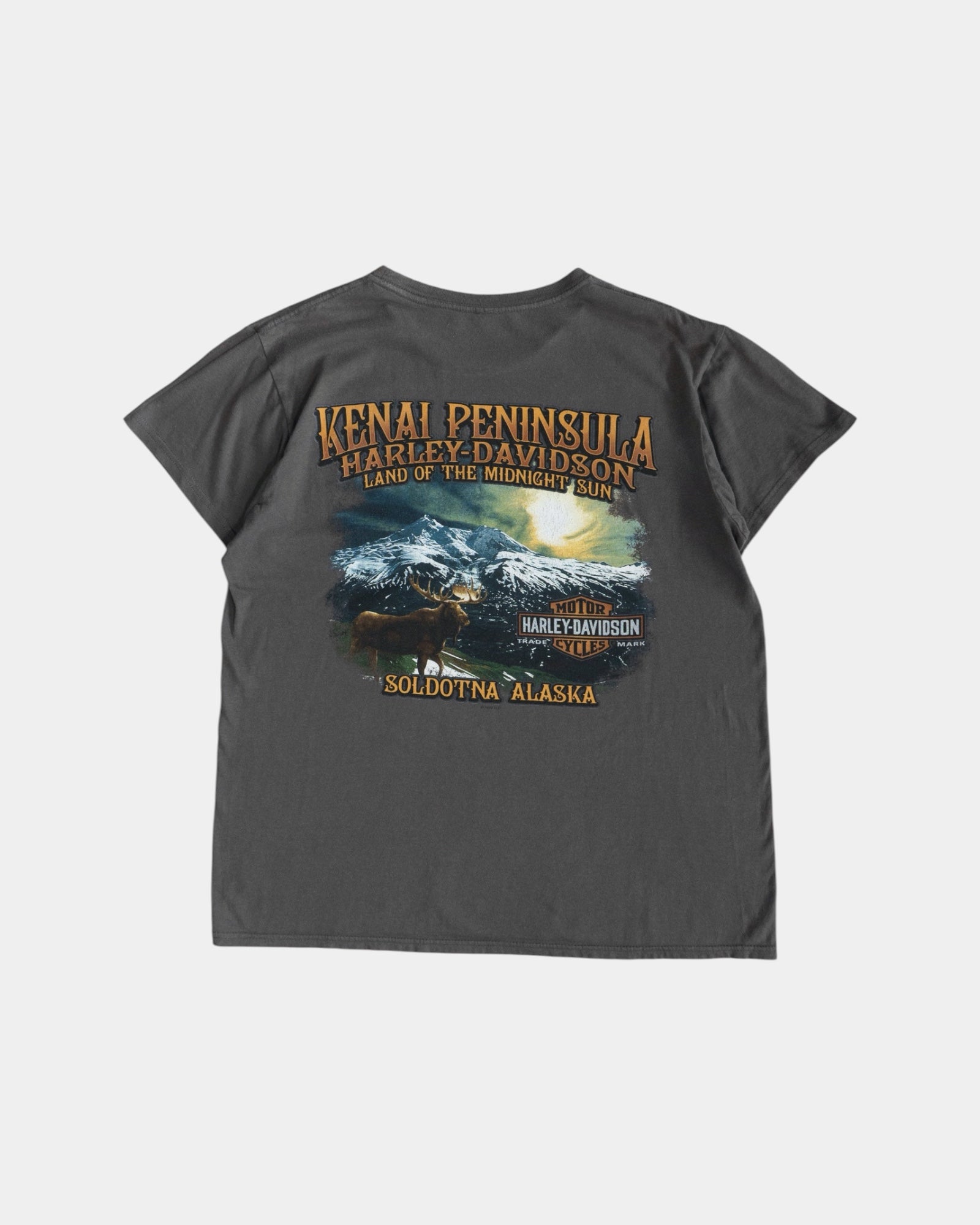(M) HARLEY DAVIDSON KENAL PENÍNSULA TEE