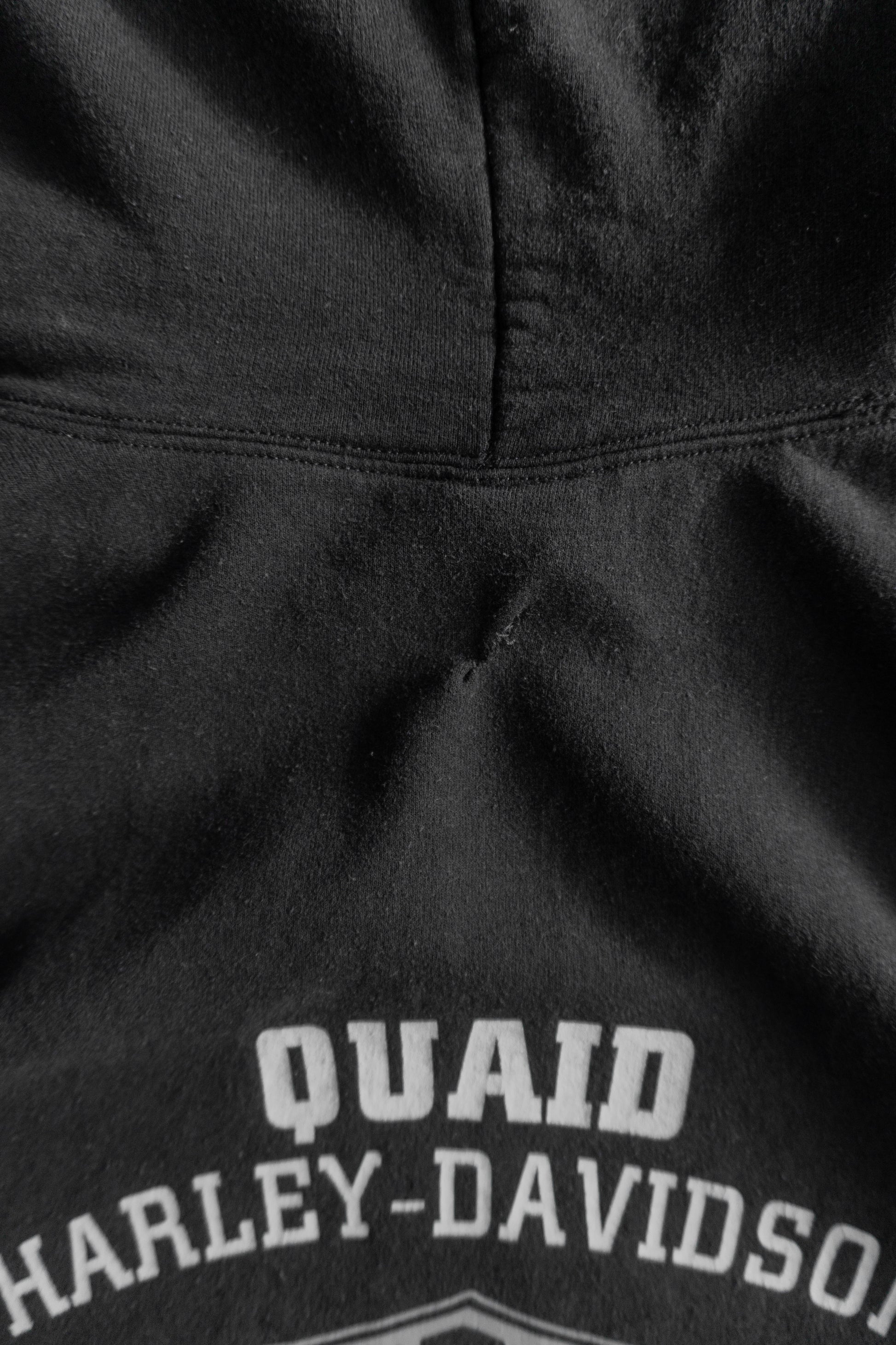 (L) HARLEY DAVIDSON 1 HOODIE