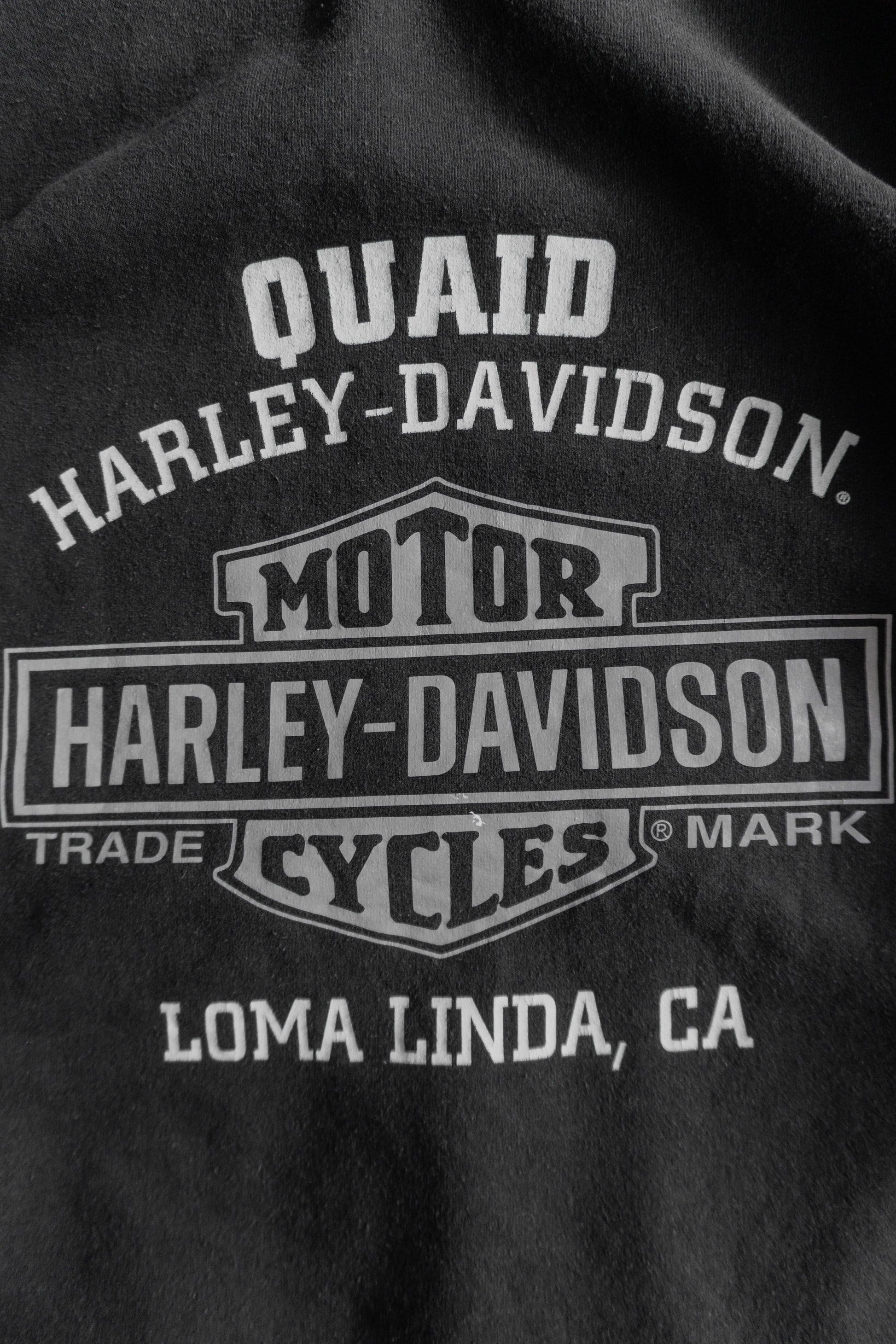 (L) HARLEY DAVIDSON 1 HOODIE