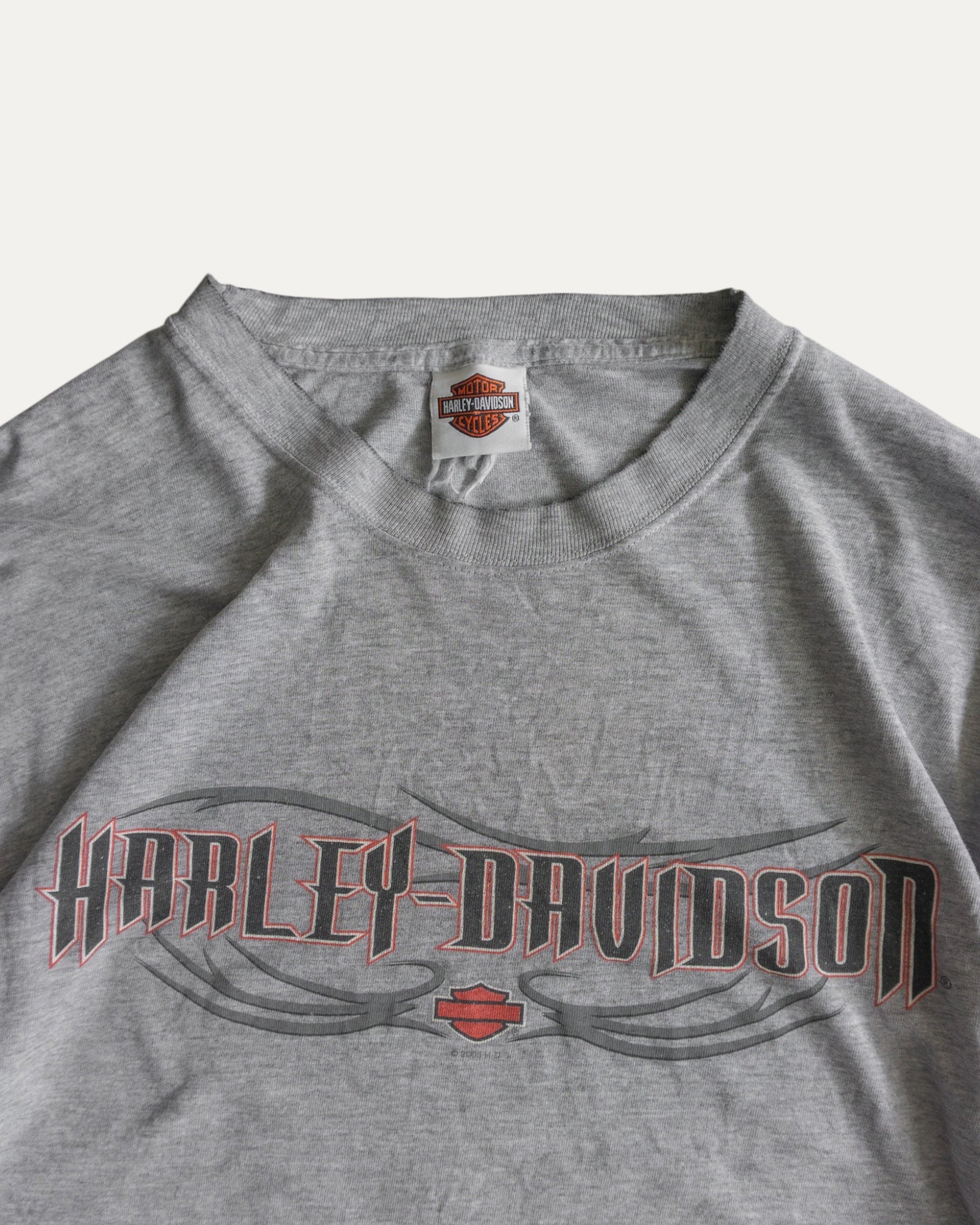 (L) HARLEY DAVIDSON FLAMES LONG SLEEVE