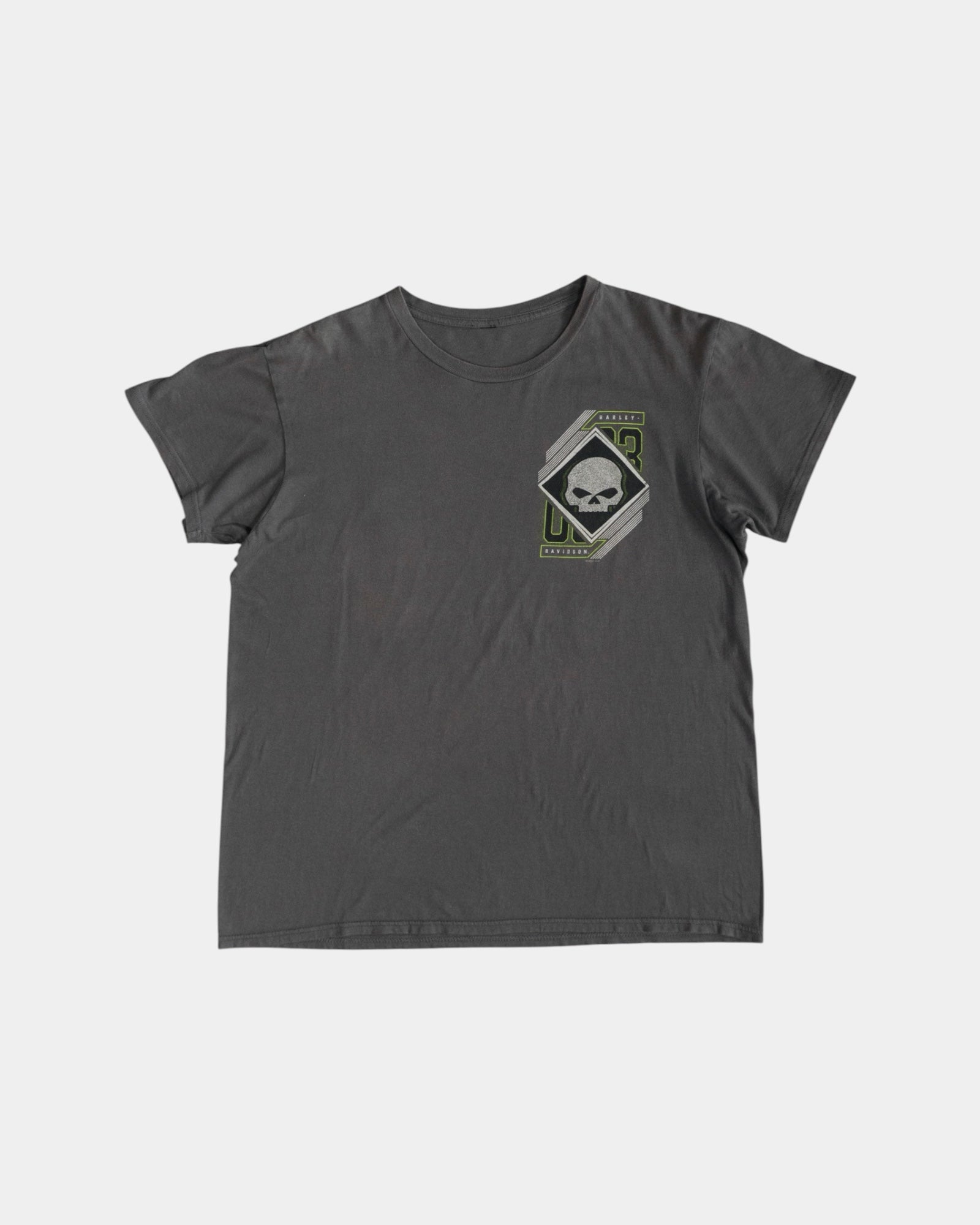 (M) HARLEY DAVIDSON KENAL PENÍNSULA TEE