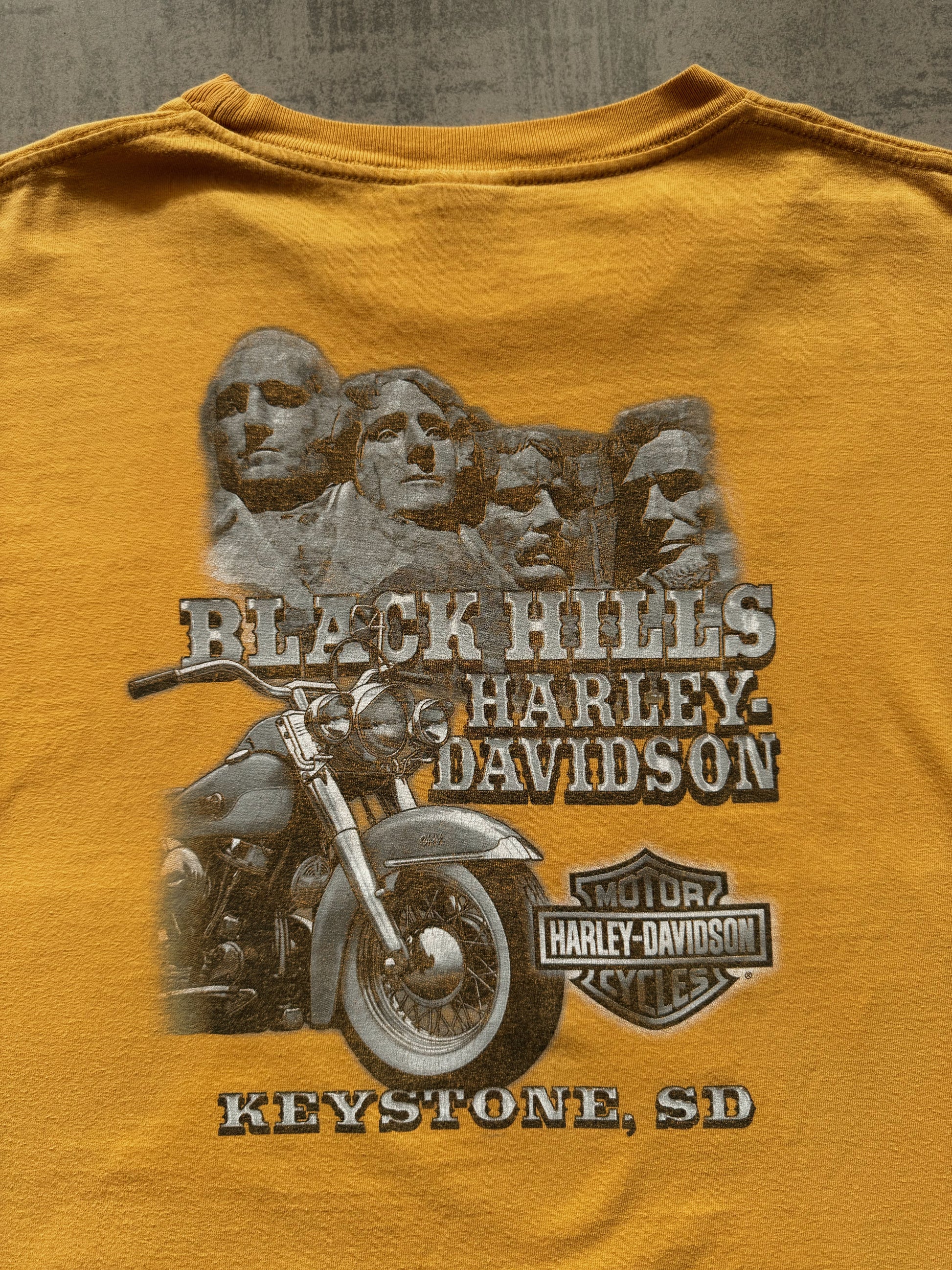 (XL) 2006 HARLEY DAVIDSON BLACK HILLS TEE