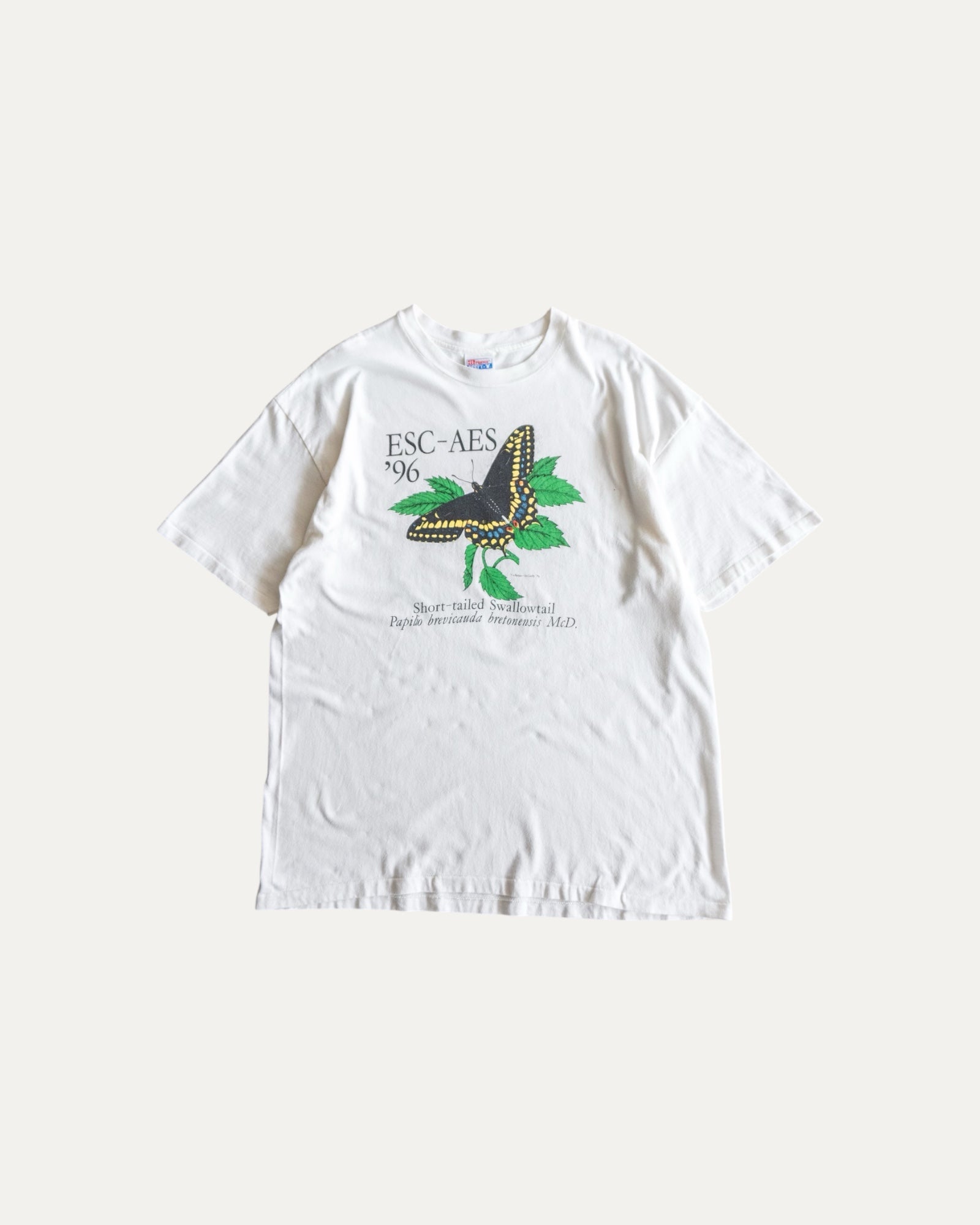(XL) 90’S VINTAGE BUTTERFLY ART TEE