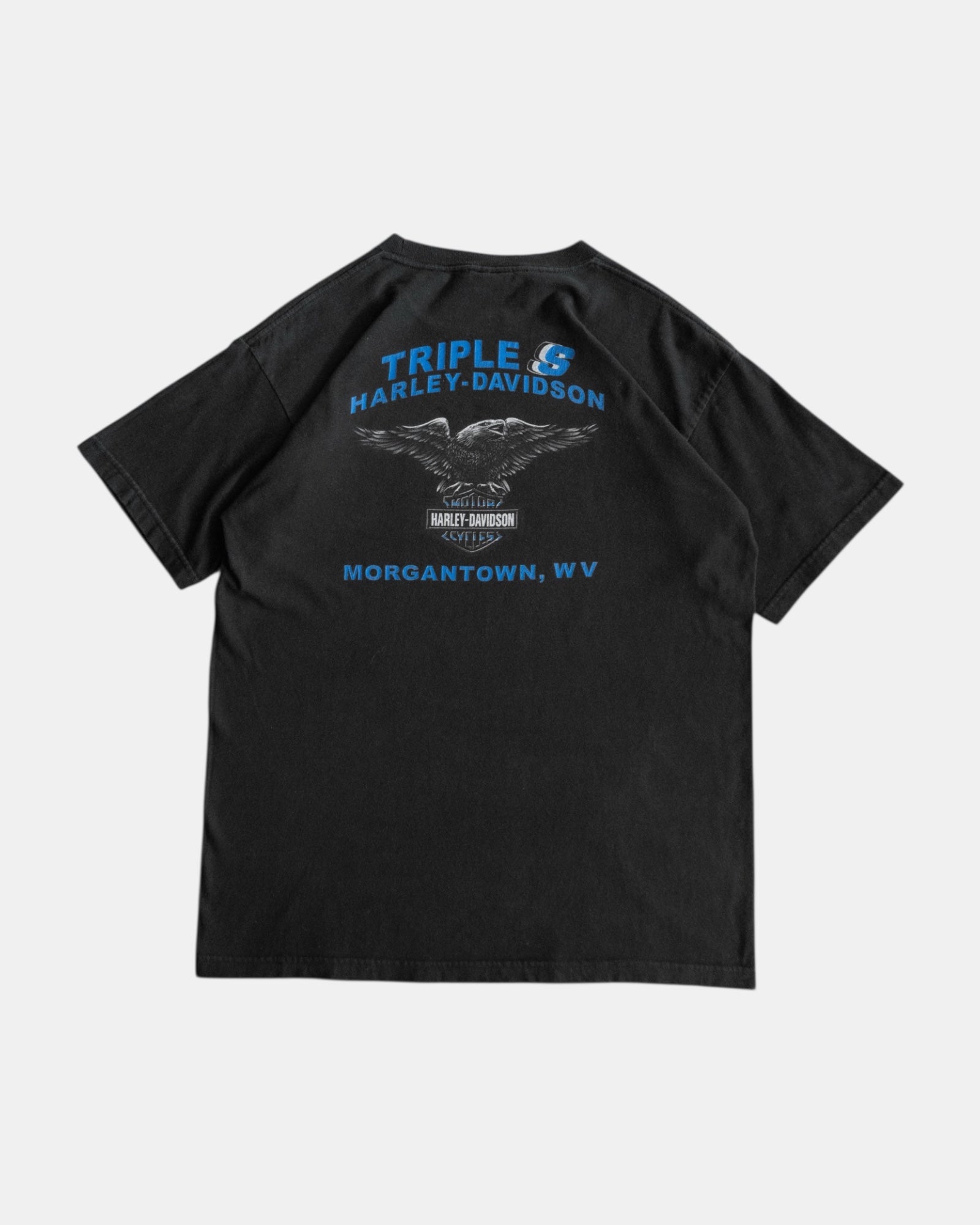 (L) 00’S VINTAGE HARLEY DAVIDSON TRIPLE S TEE