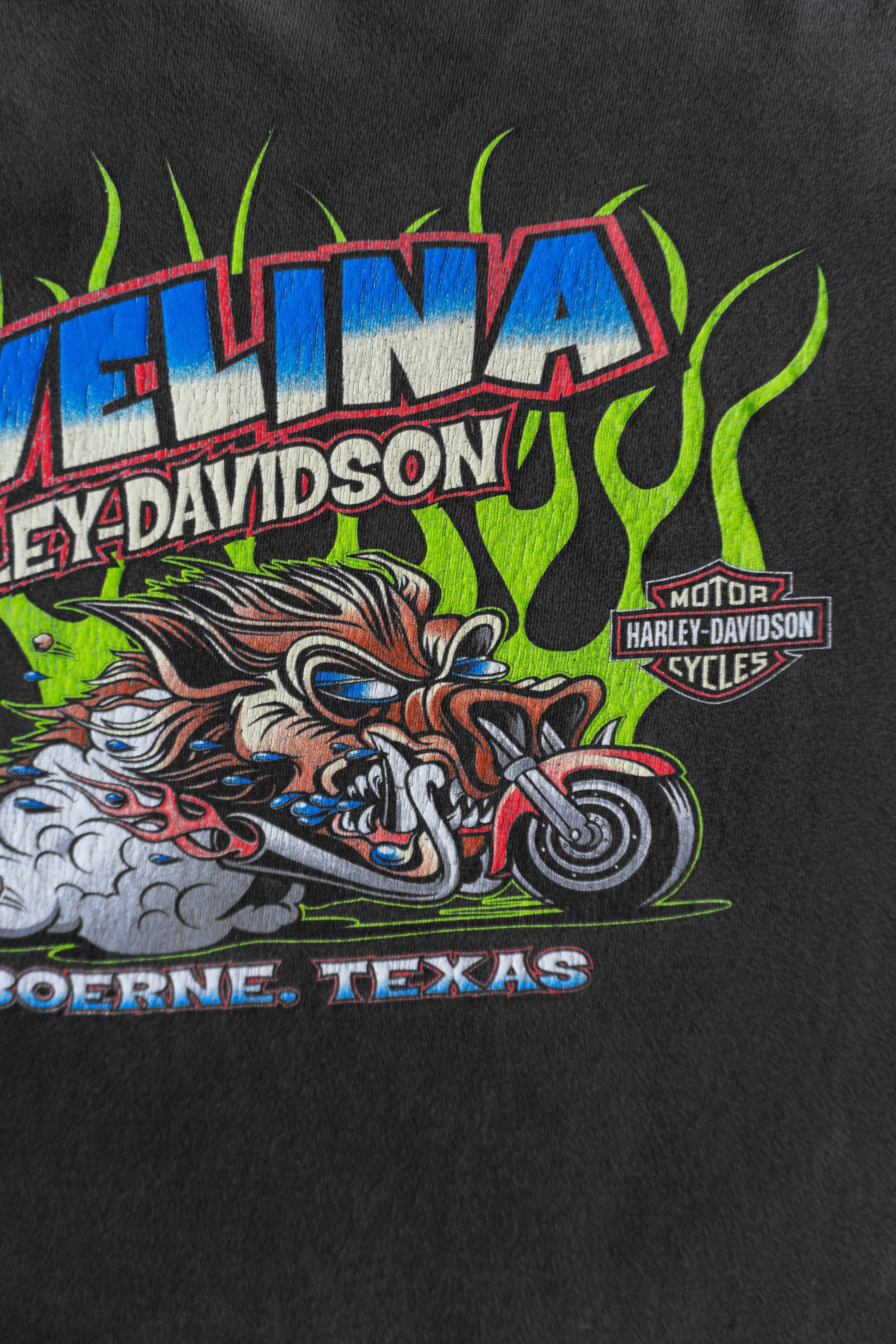 (L) VINTAGE HARLEY DAVIDSON JAVELINA FADED TEE