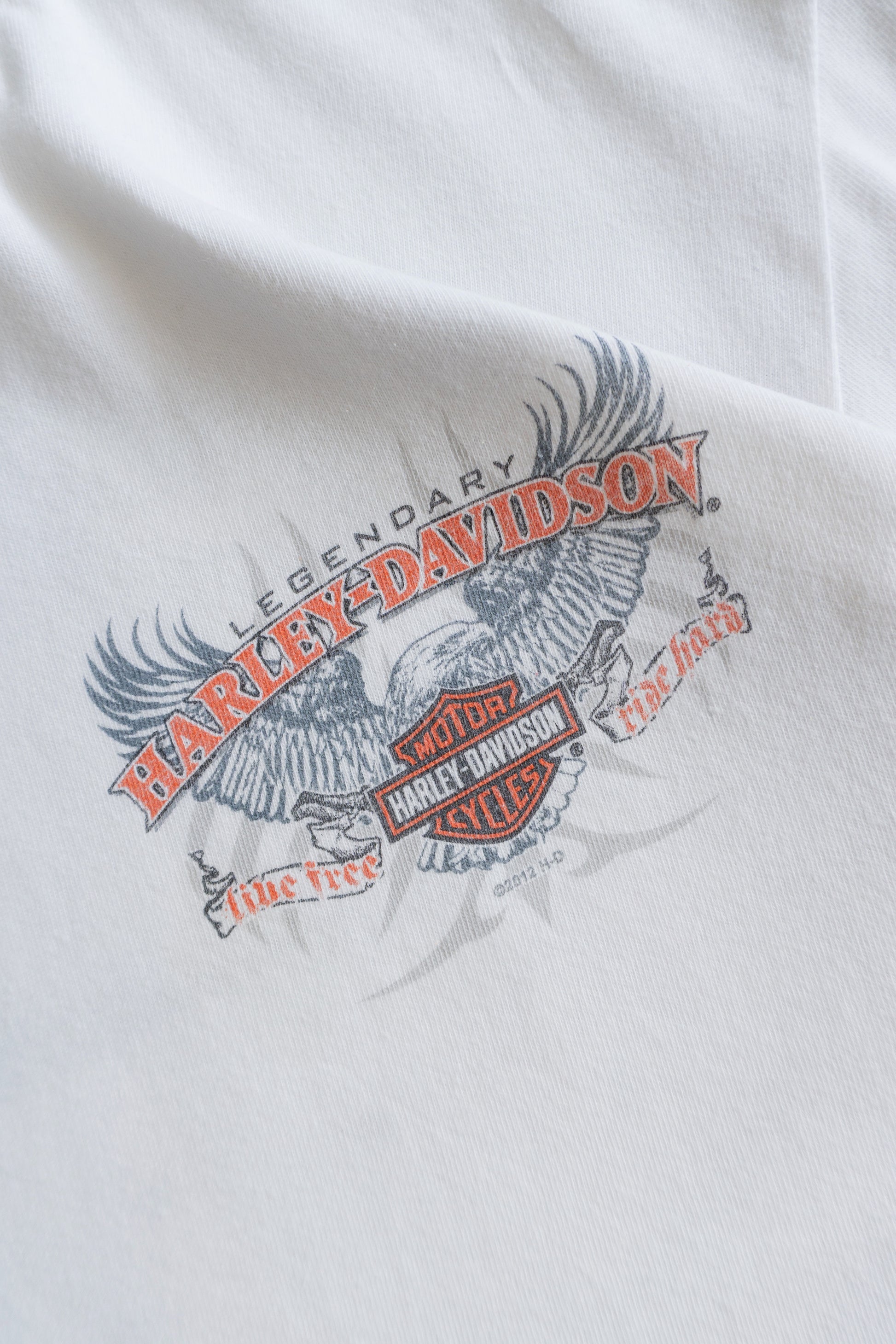 (L) HARLEY DAVIDSON LEGACY TEE