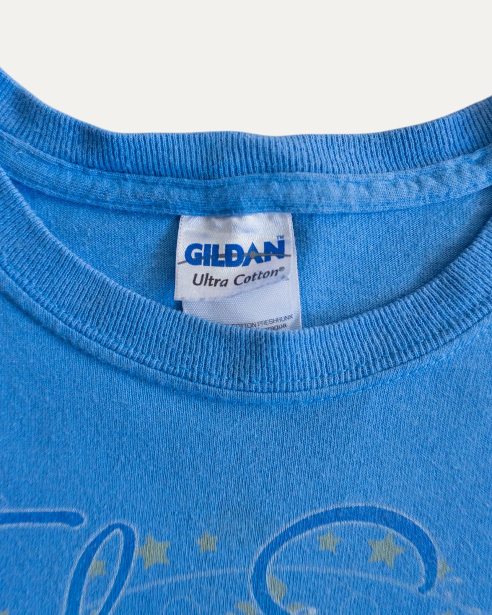 (S) VINTAGE TAYLOR SWIFT FEARLESS TOUR TEE